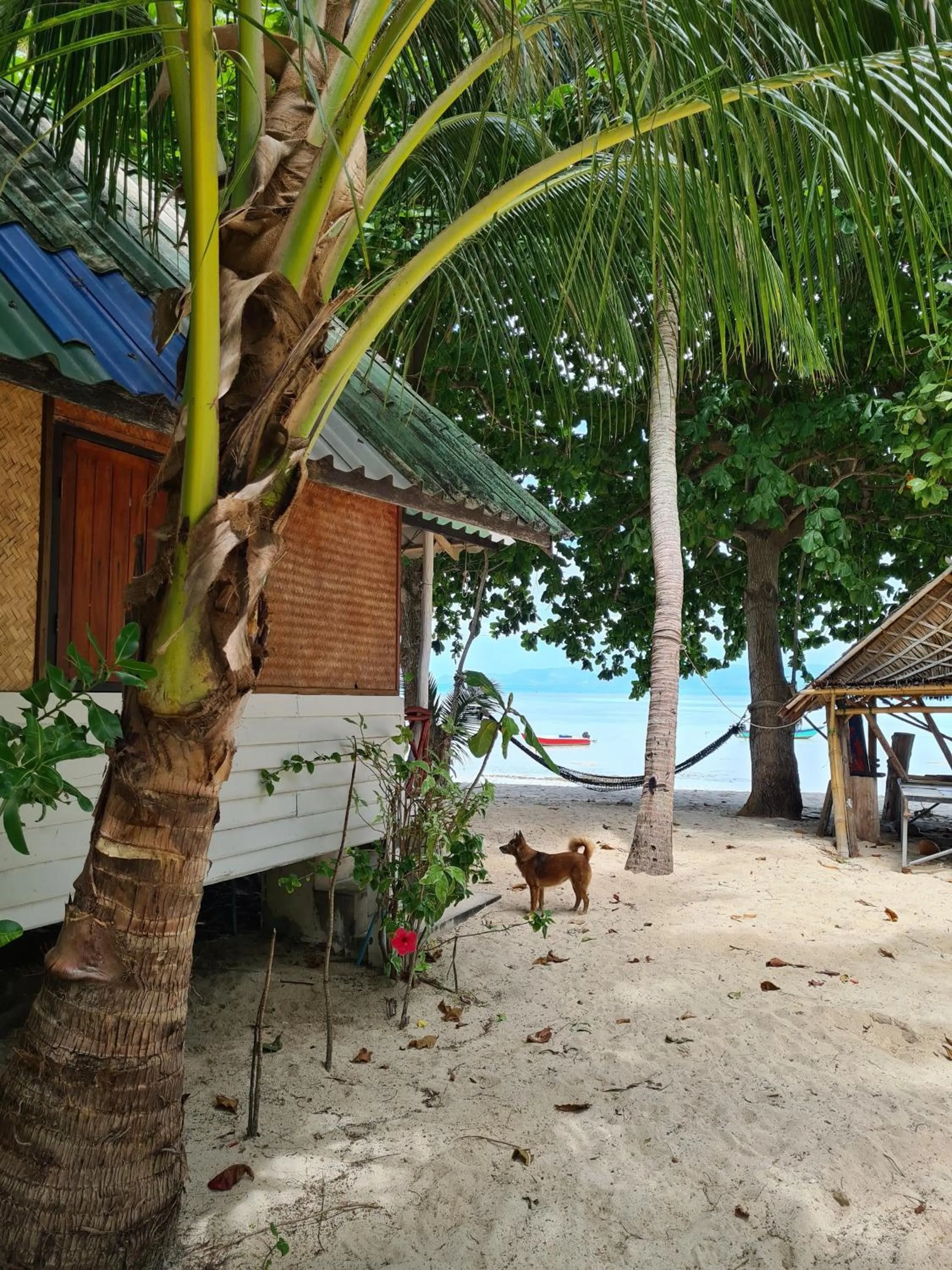 Phangan Villa Bungalows