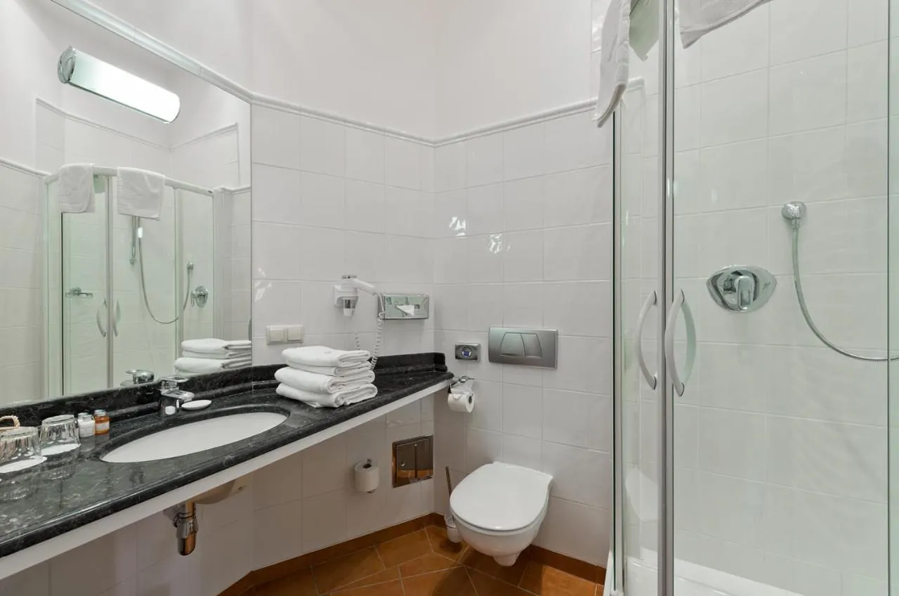 Shower in Dom Pugetów