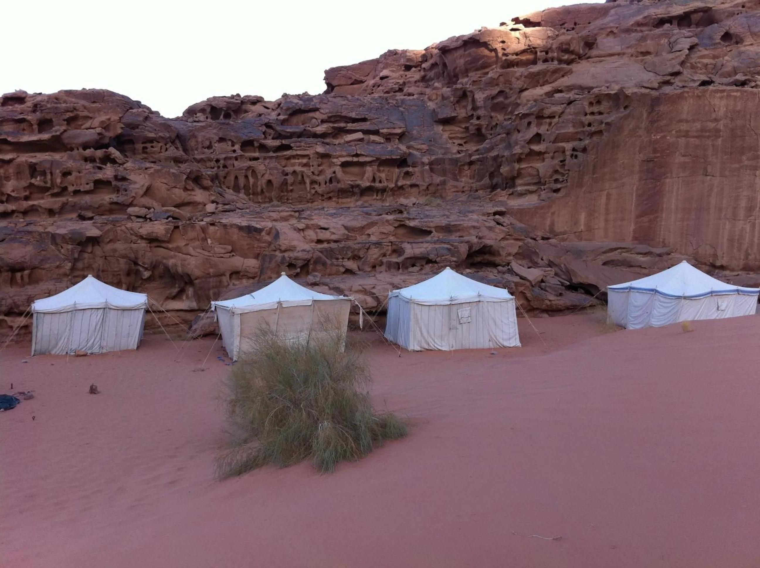 Facade/entrance in Obeid's Bedouin Life Camp