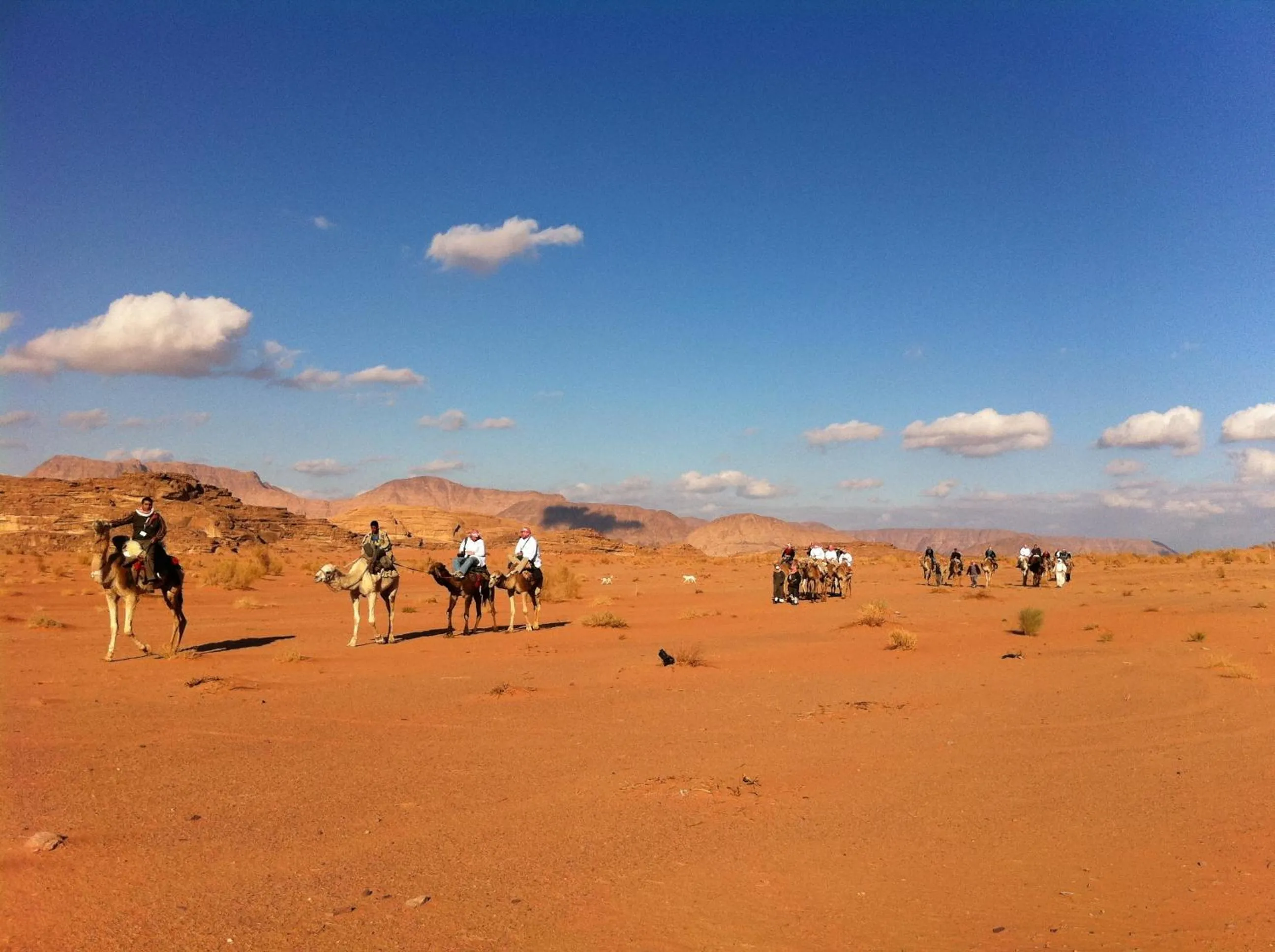 Area and facilities in Obeid's Bedouin Life Camp