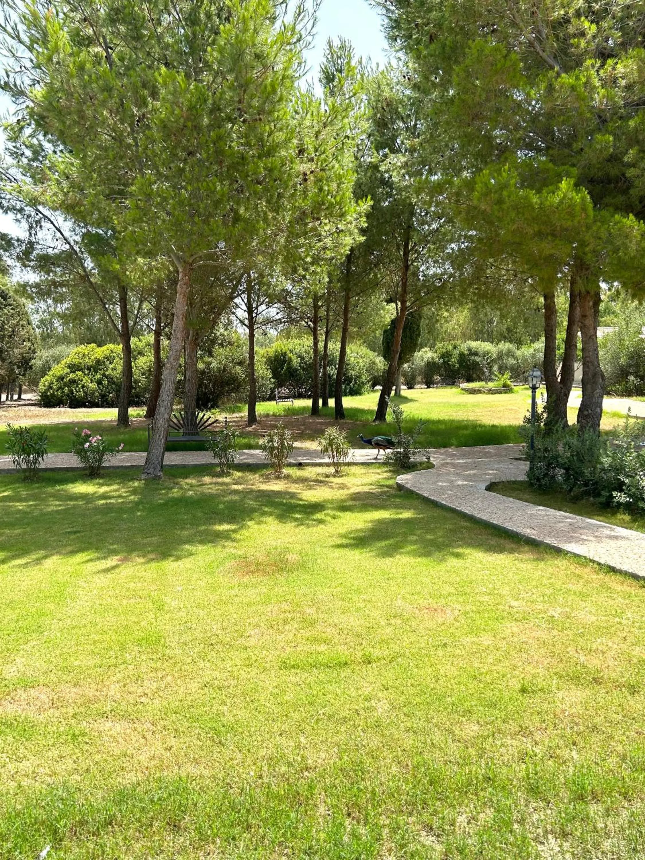 Garden in Villa Cavalieri Country Hotel
