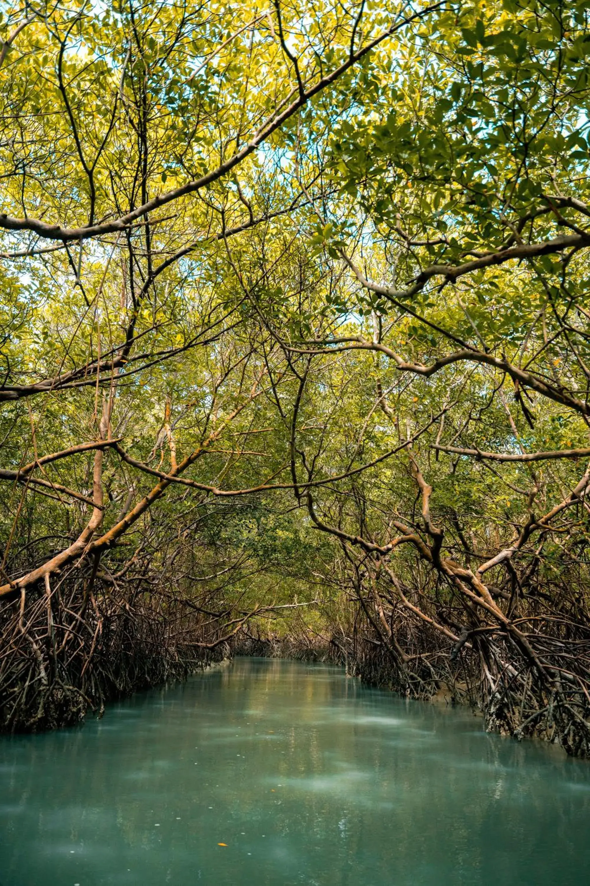 Property building in Hotel Icaraí Beach Property building in Hotel Icaraí Beach