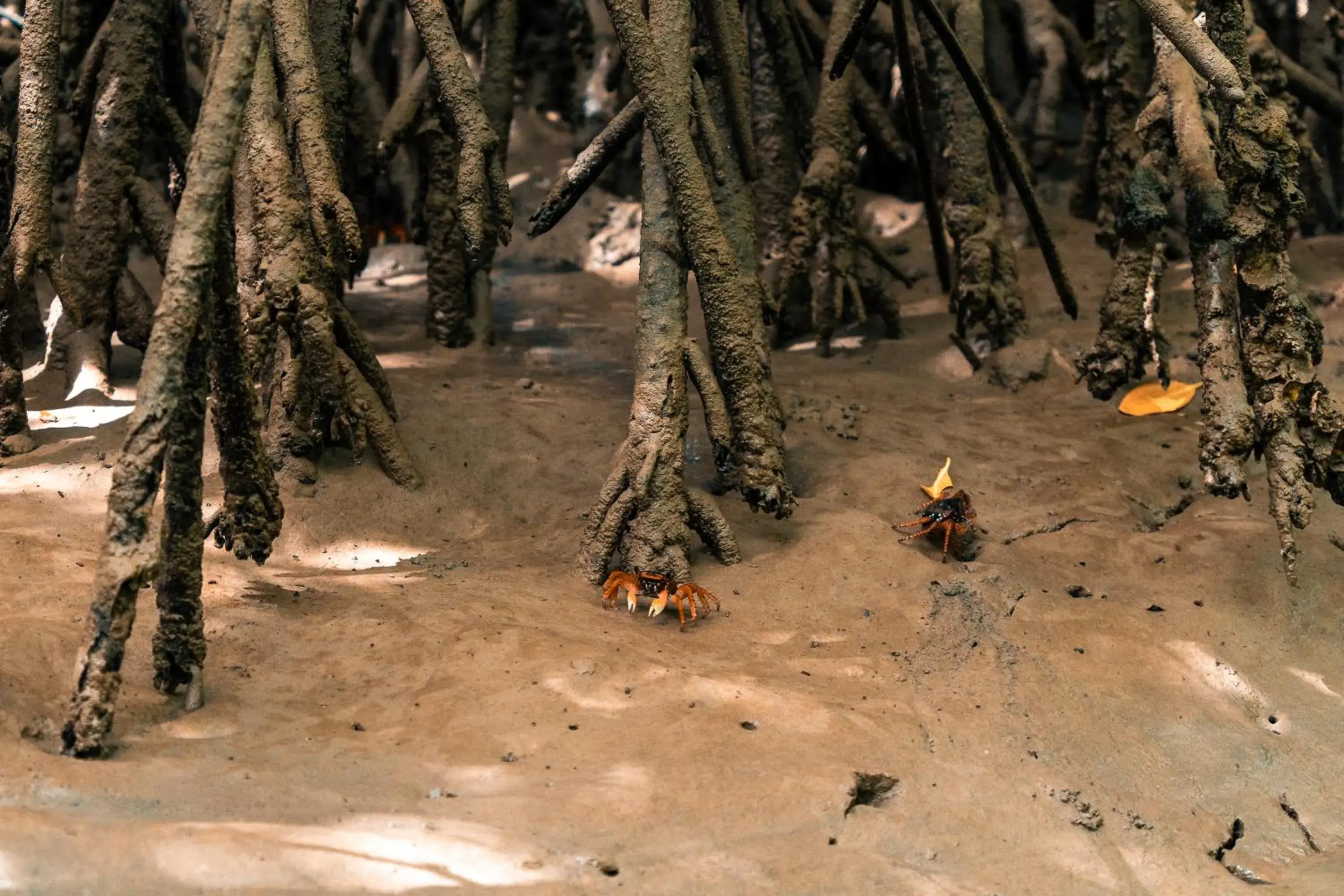 Property building in Hotel Icaraí Beach Property building in Hotel Icaraí Beach