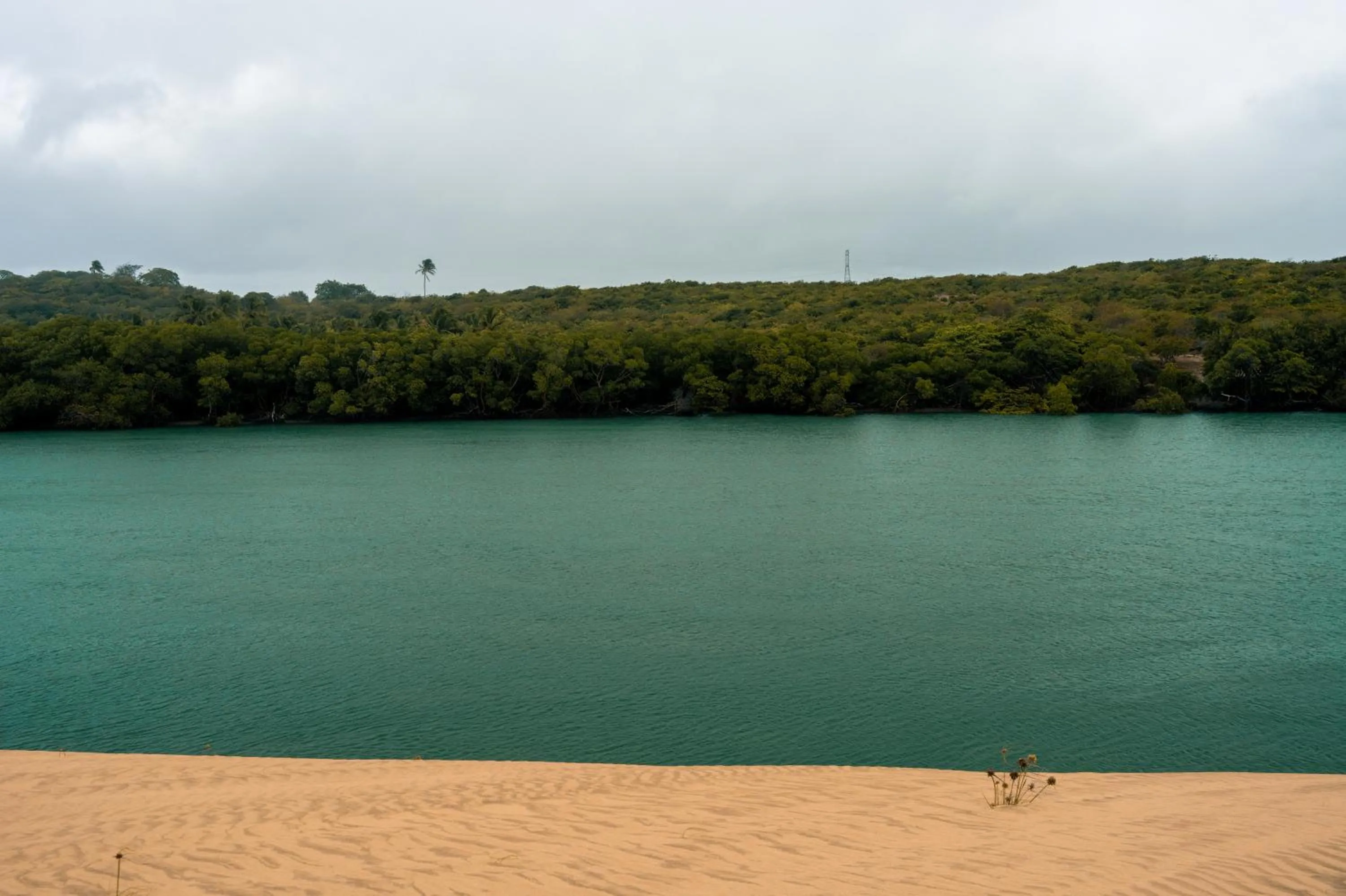 Beach in Hotel Icaraí Beach