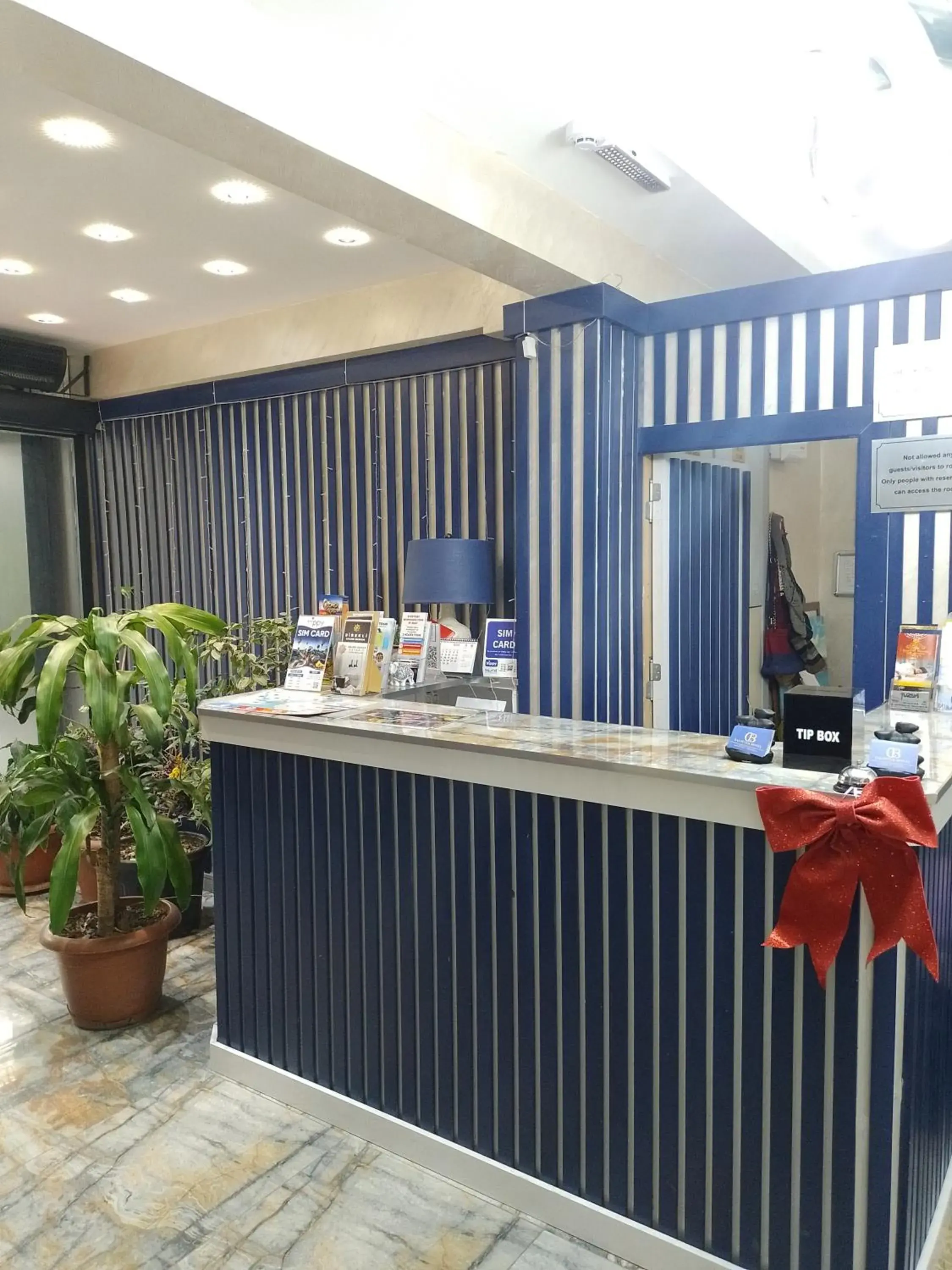 Lobby or reception in BALPETEK HOTEL Lobby or reception in BALPETEK HOTEL