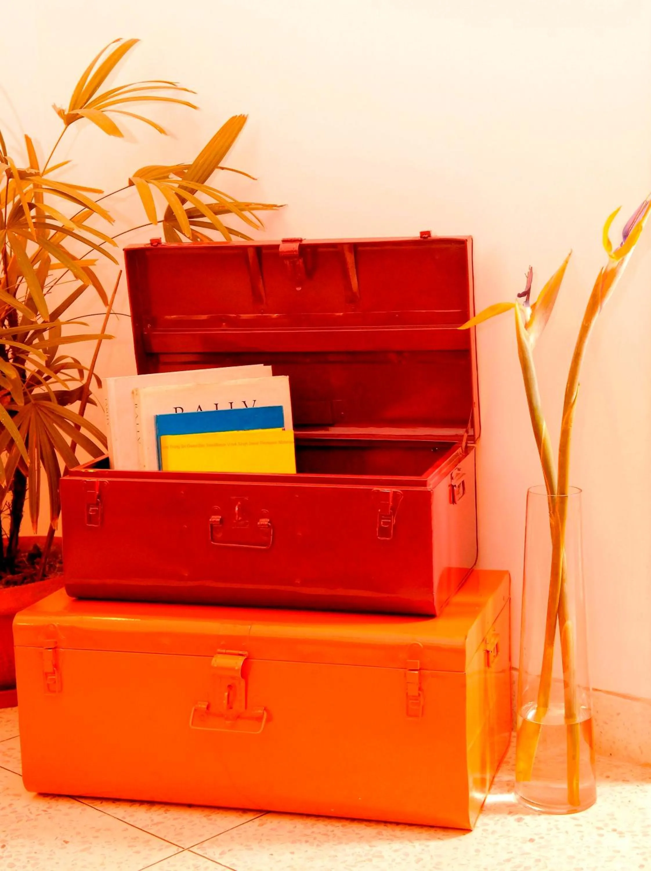 Library in Thikana Delhi ( Boutique B&B)