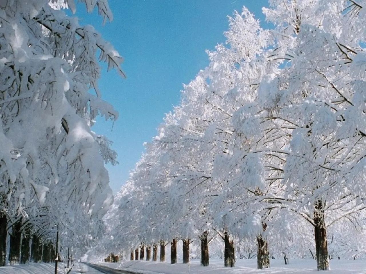 Nearby landmark in Grand Park Hotel Okubiwako Makino