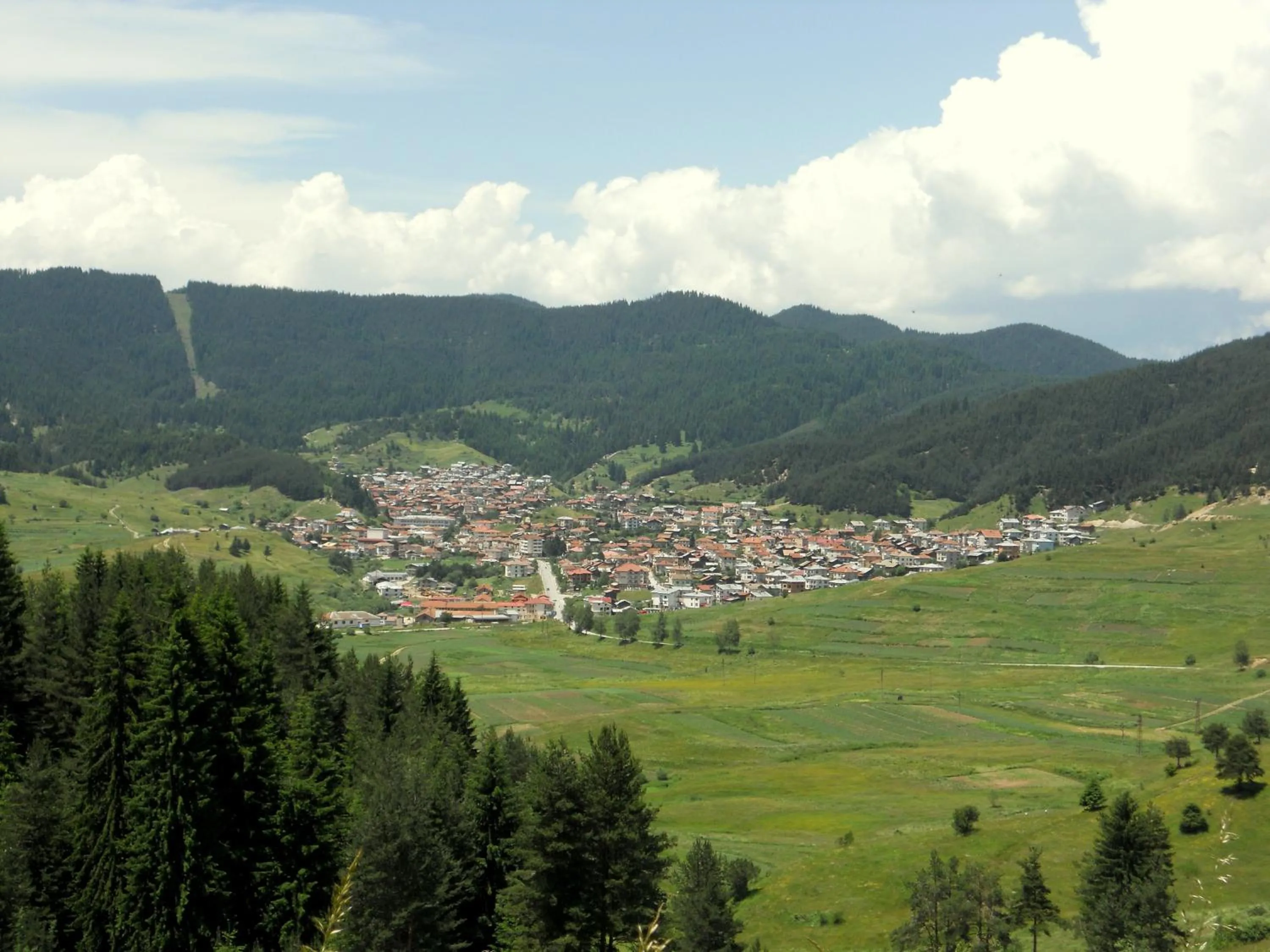 Area and facilities in Family Hotel Daisy