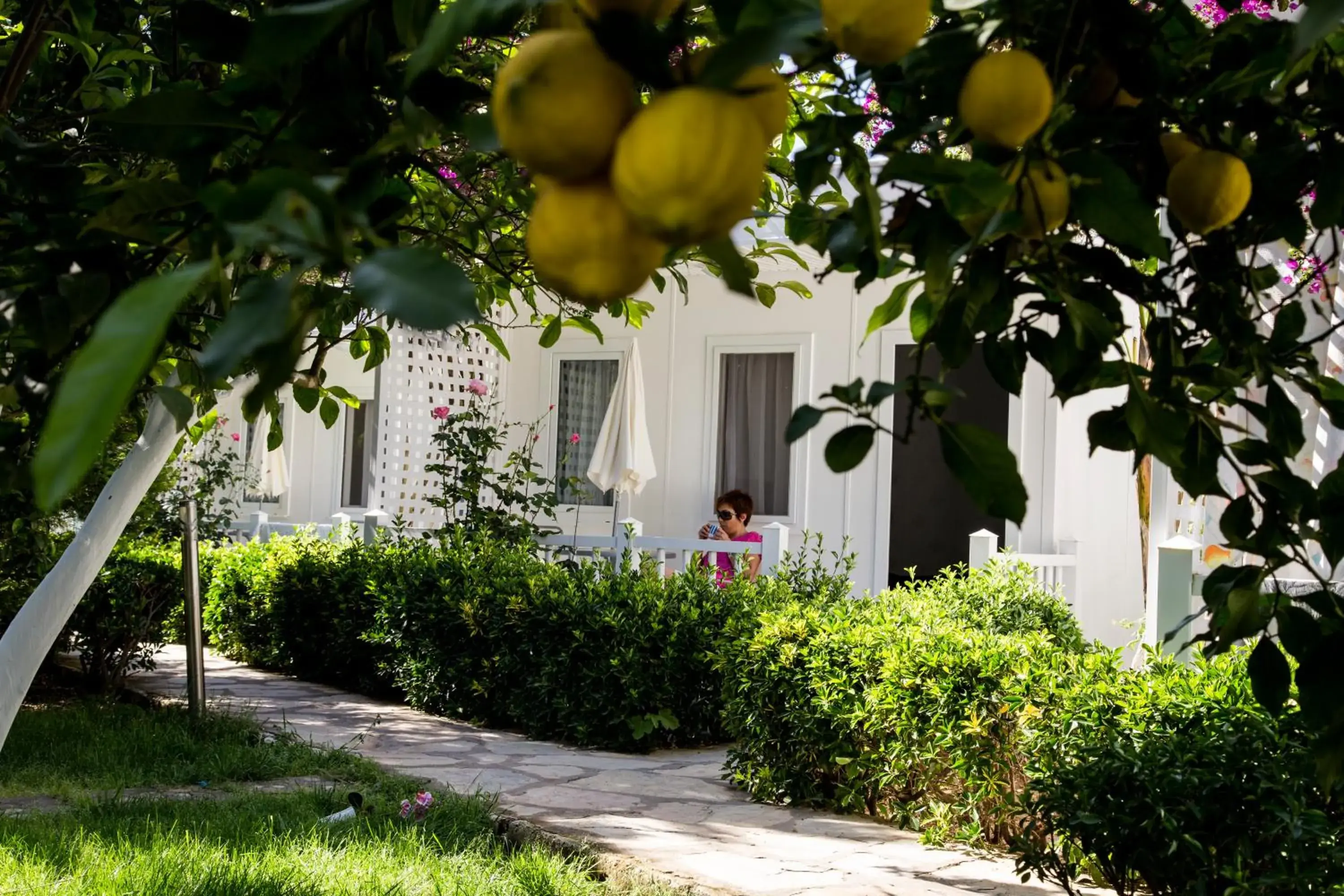 Bungalow - single occupancy in Blue & White Hotel Bungalow - single occupancy in Blue & White Hotel