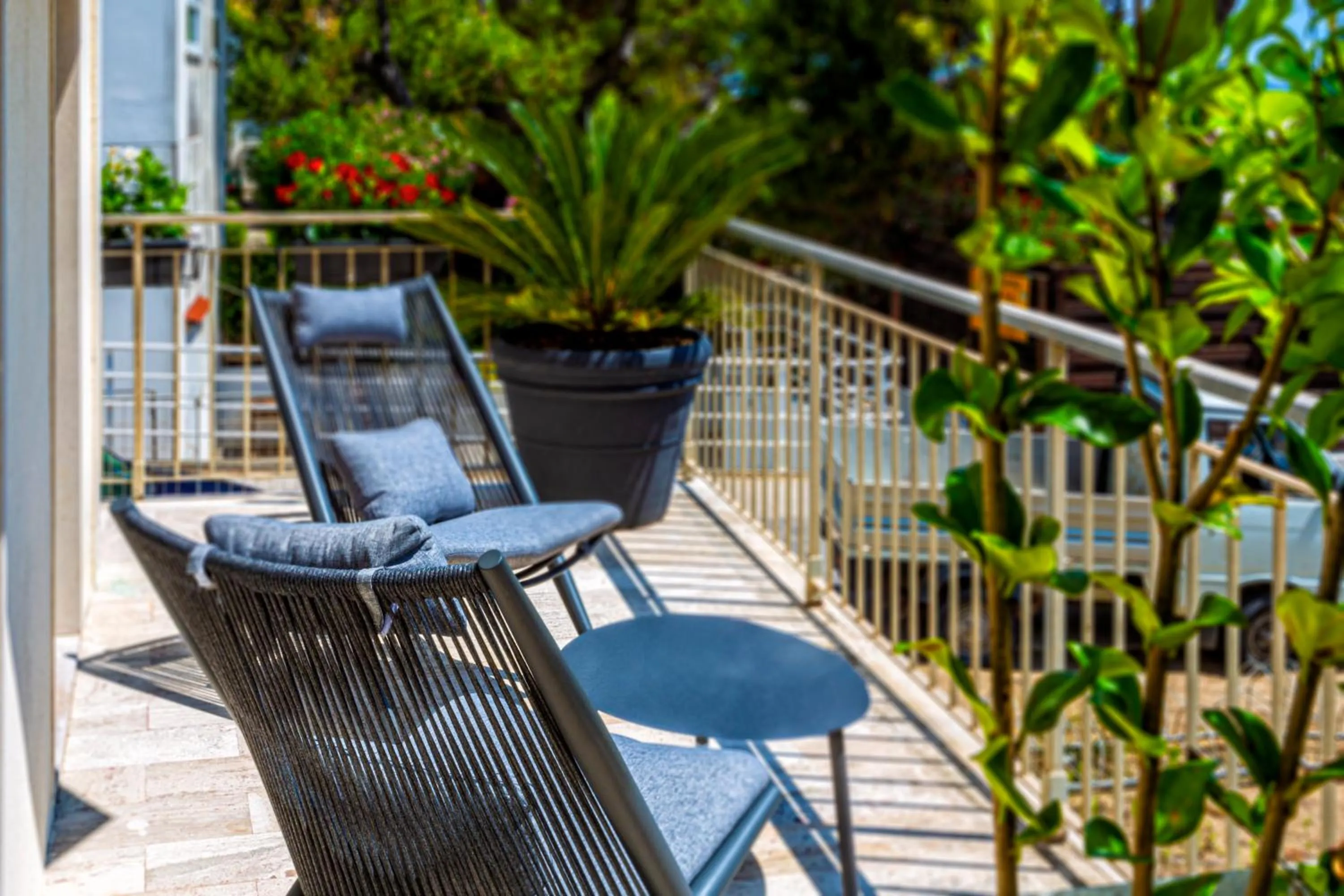 Balcony/Terrace in Hotel Petit Palais