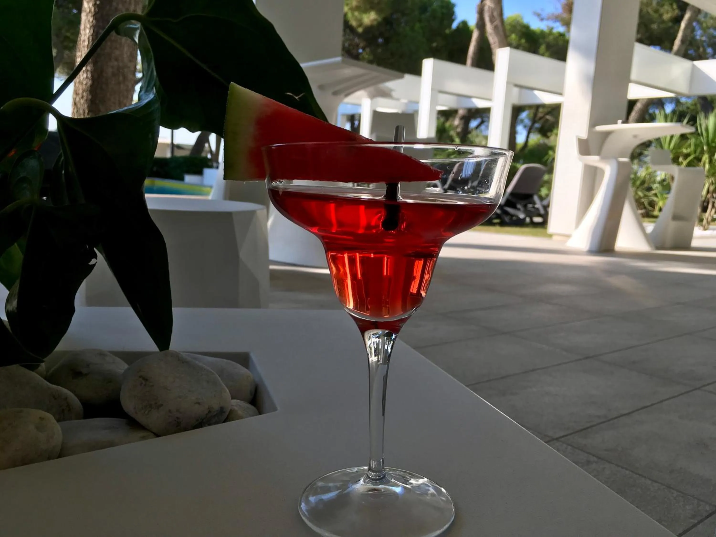 Lounge or bar in International Beach Hotel