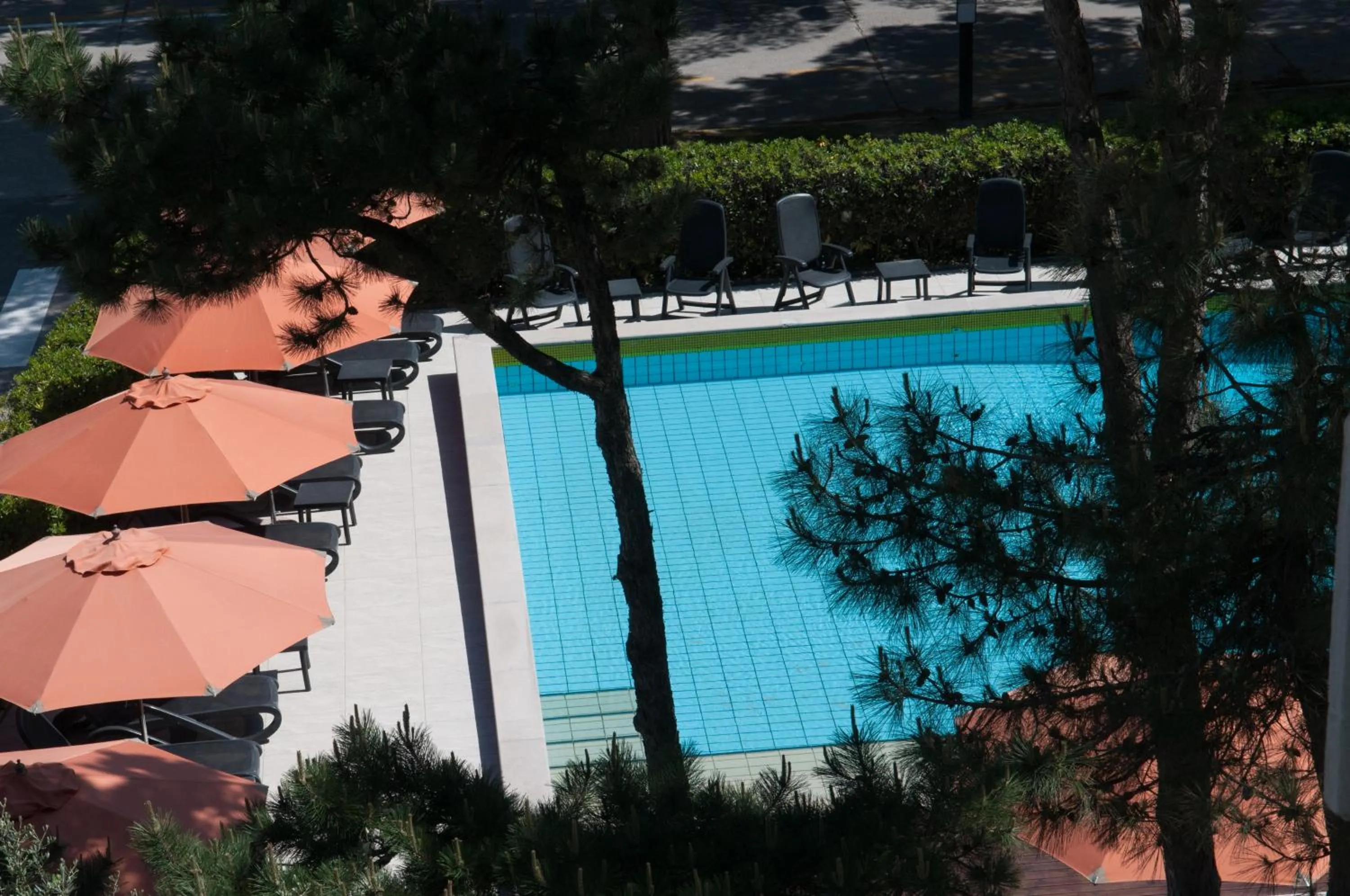 Swimming pool in International Beach Hotel