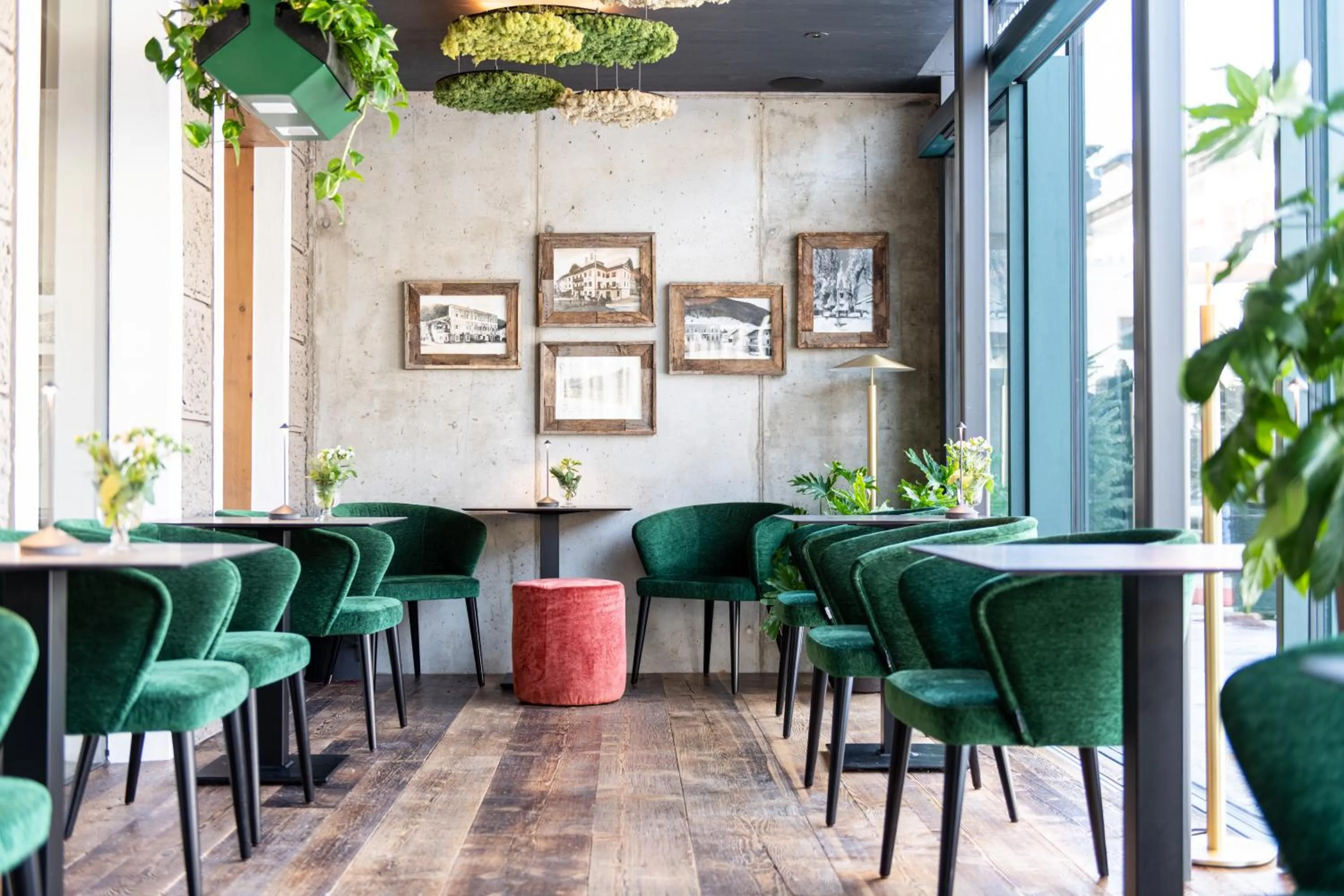 Restaurant/places to eat in Adler Suite & Stube