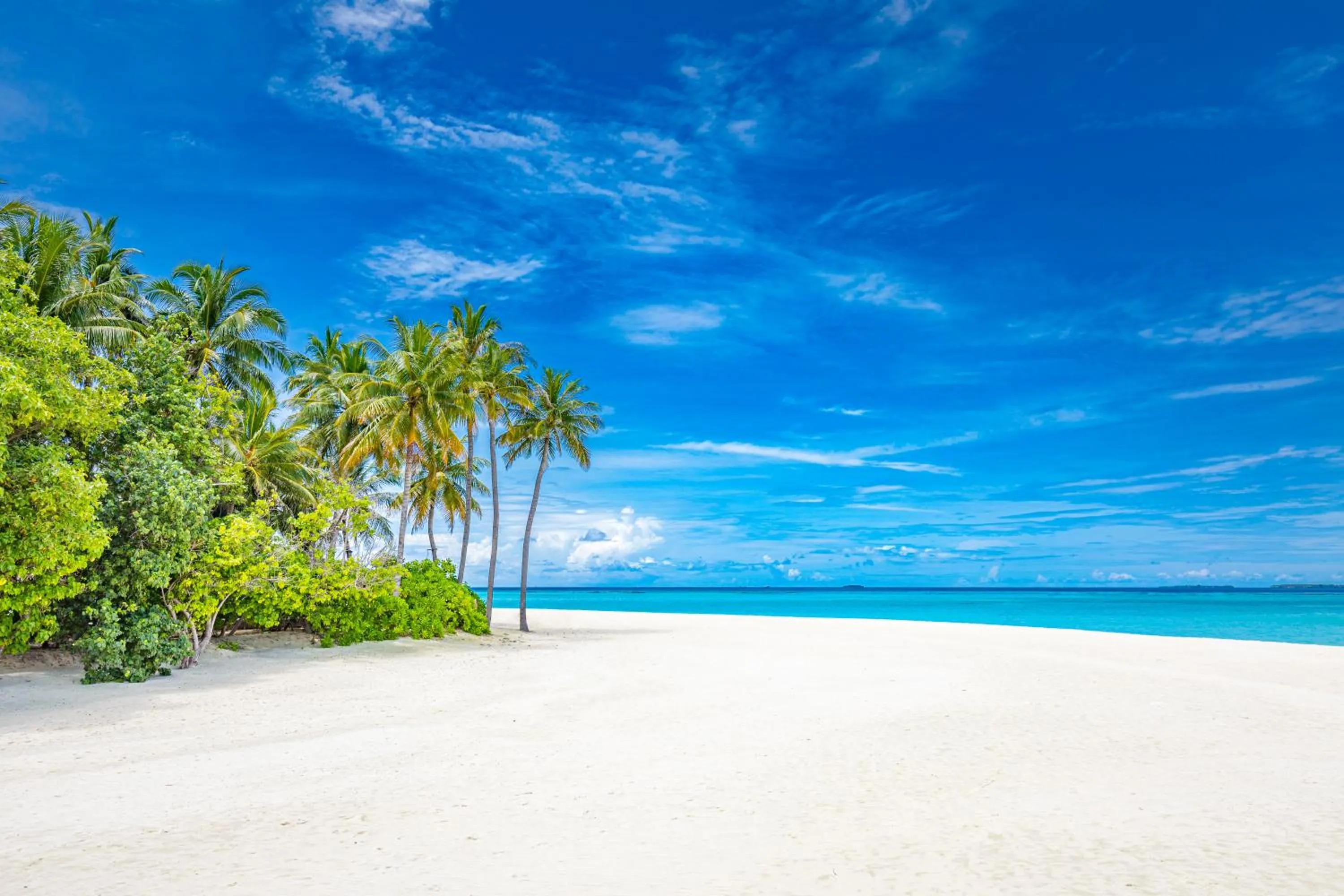 Beach in Sun Siyam Iru Fushi with Free Transfer