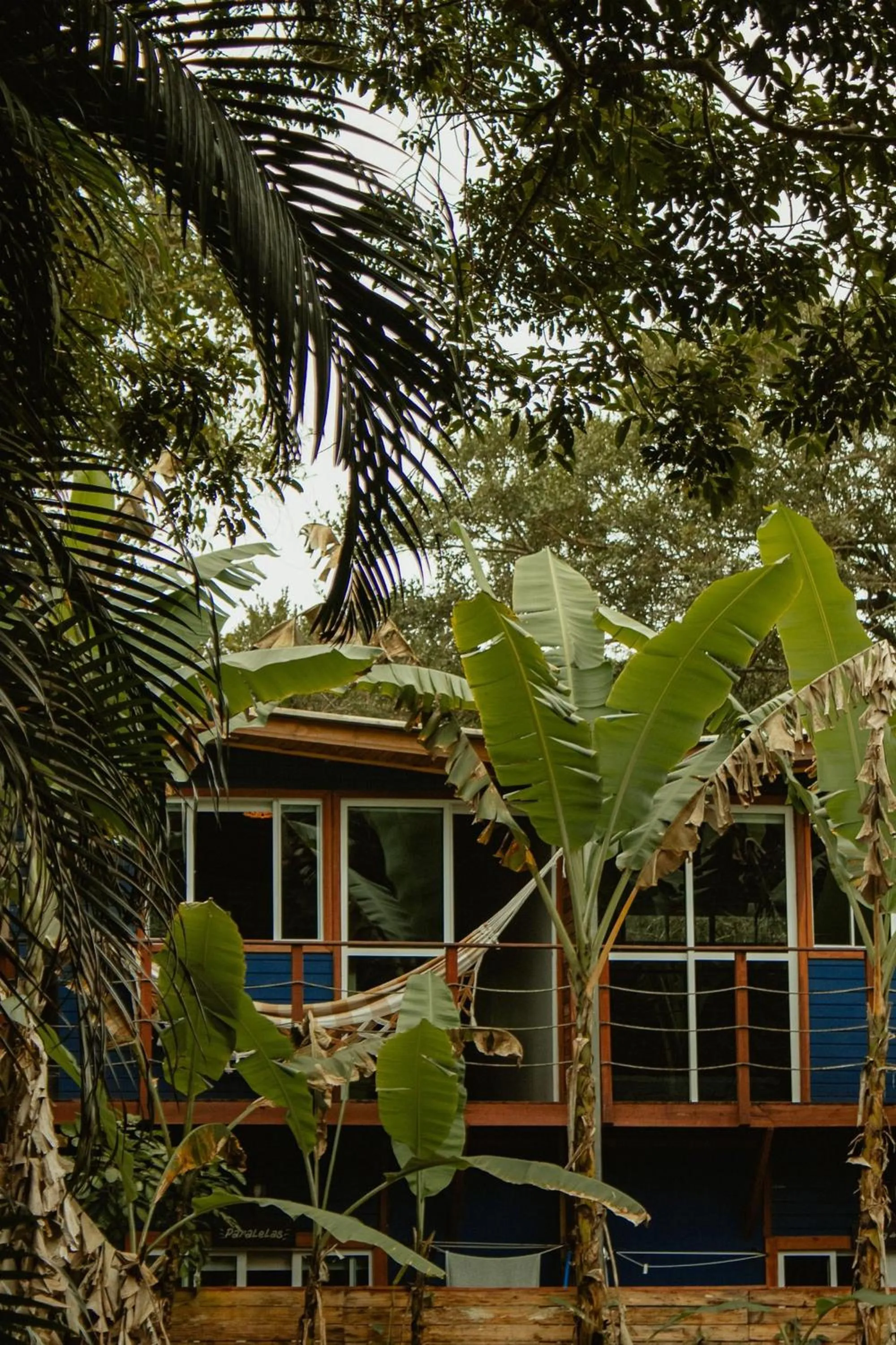 Garden in Surfway Ilha do Mel
