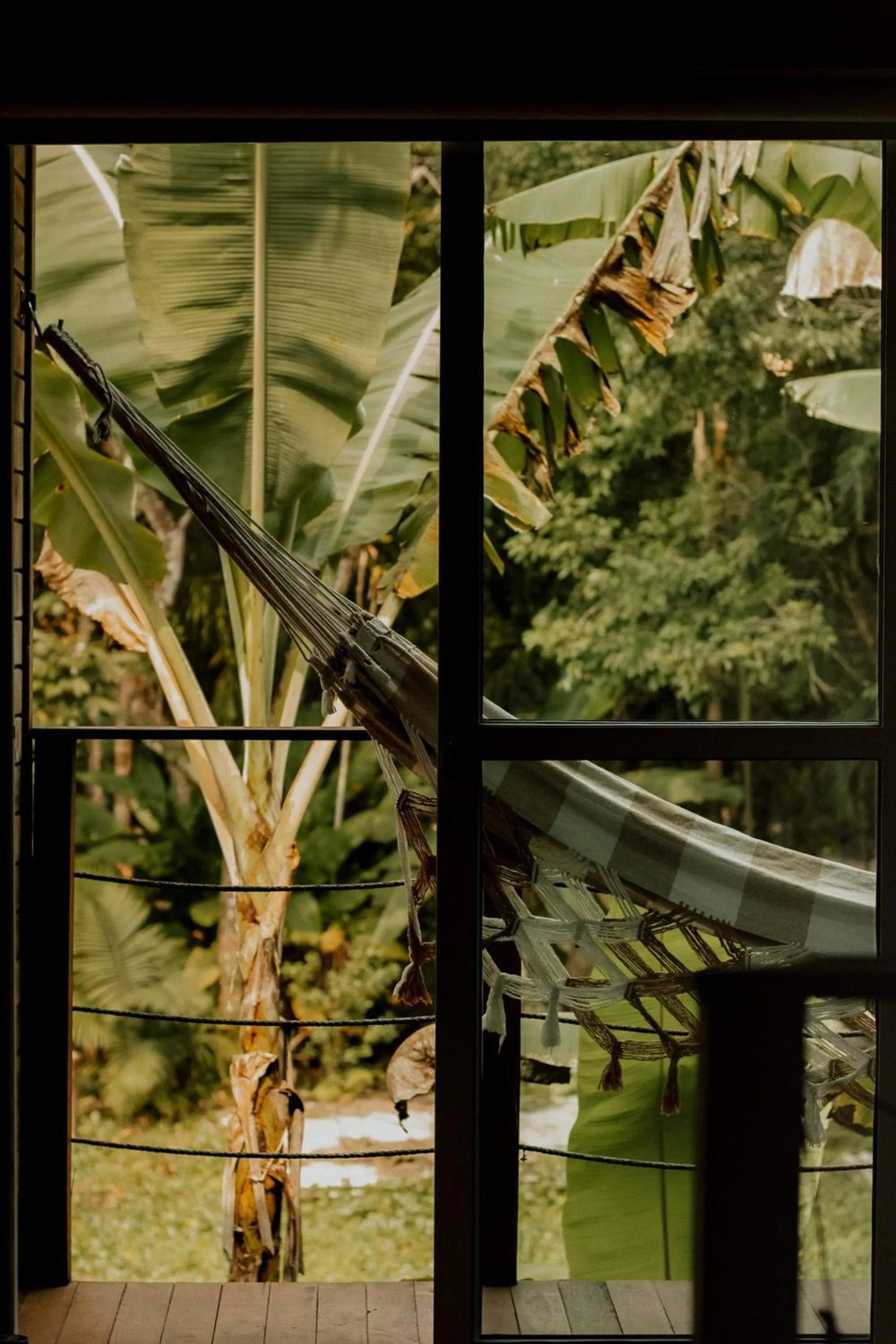 Garden in Surfway Ilha do Mel