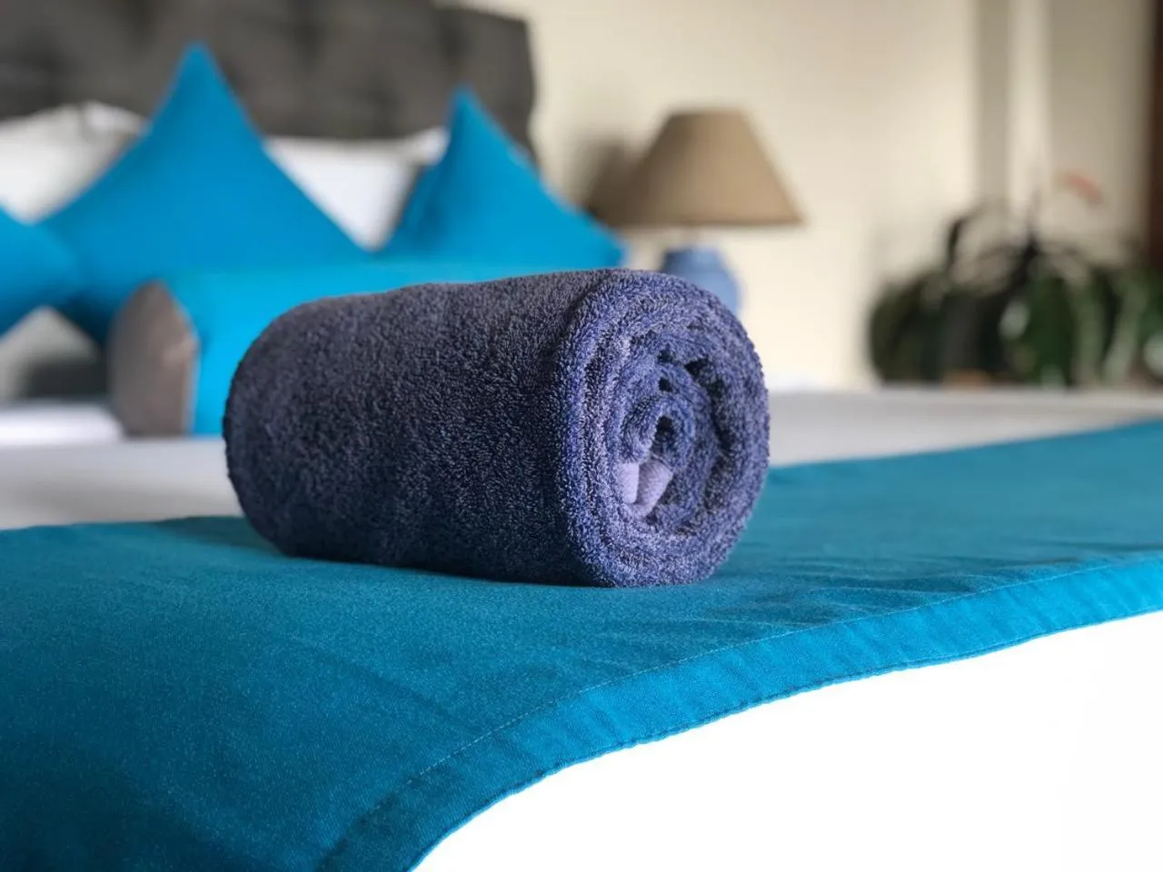 Bed in Awesome Place