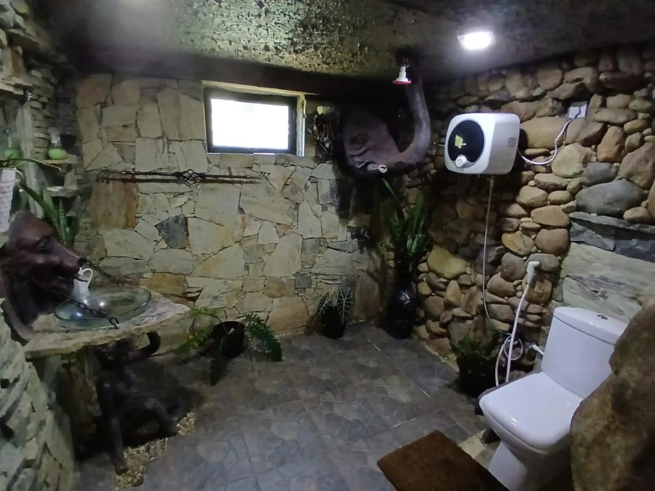 Toilet in Awesome Place