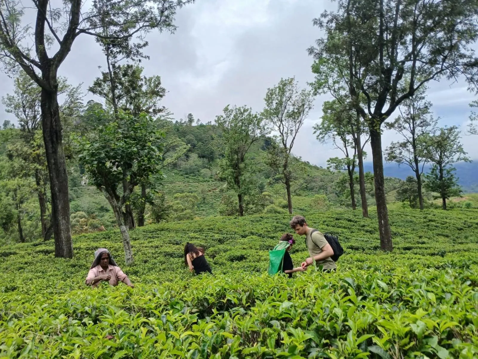 Activities in Awesome Place