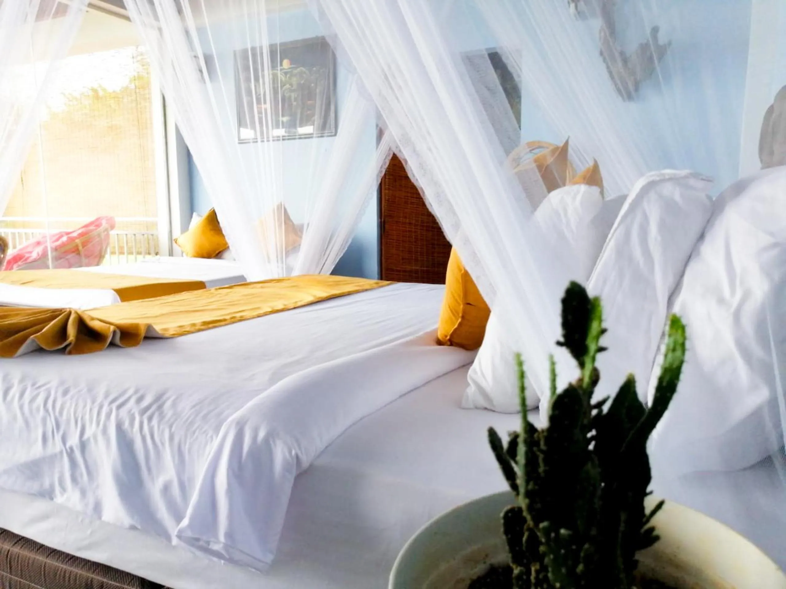 Bed in Awesome Place