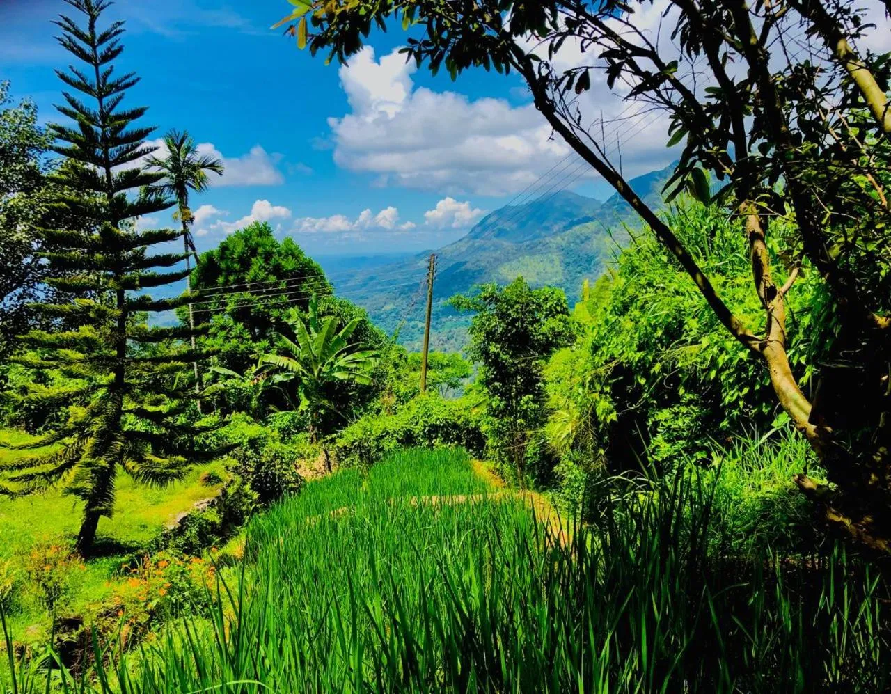 Natural landscape in Awesome Place