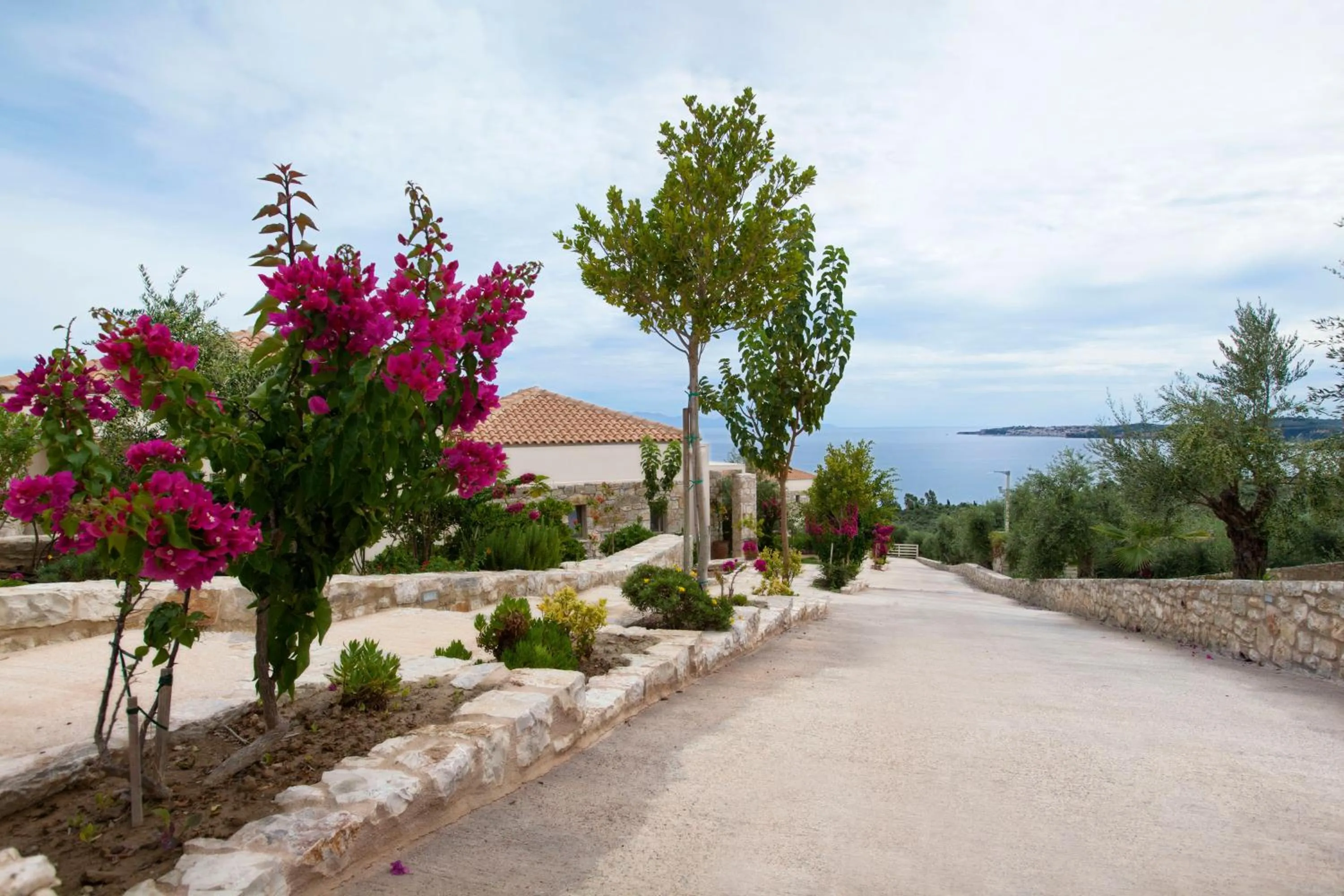 On site in Camvillia Resort Messinia