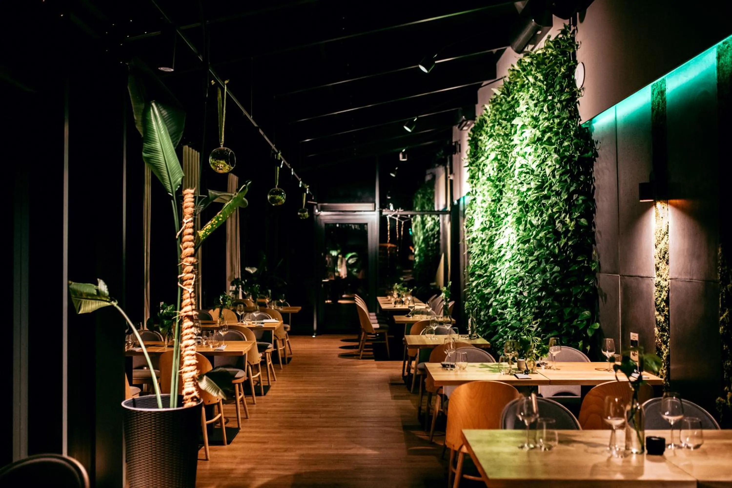 Restaurant/places to eat in Hotel Pod Jedlami