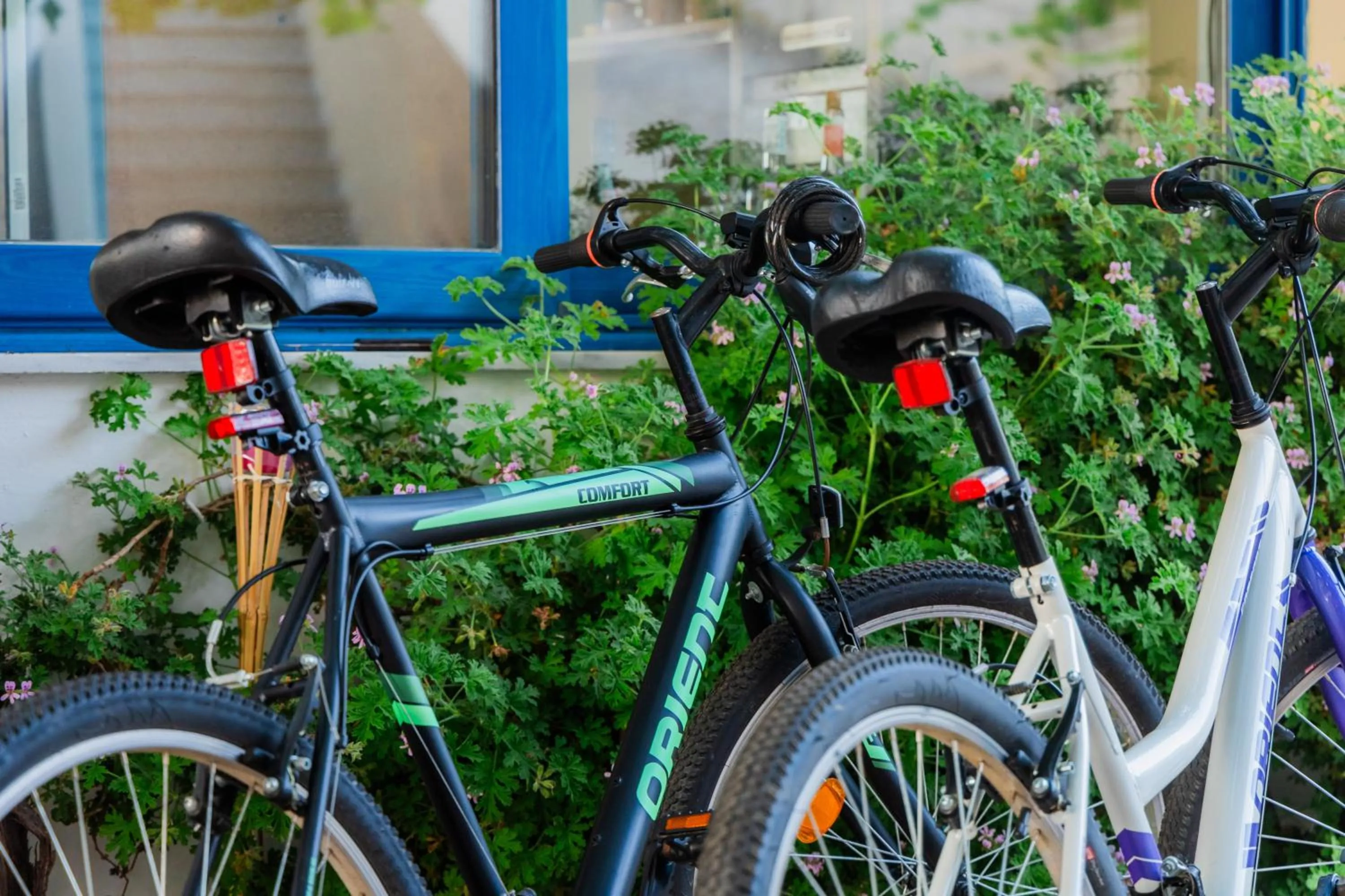 Activities in Sunsea Wellness Resort