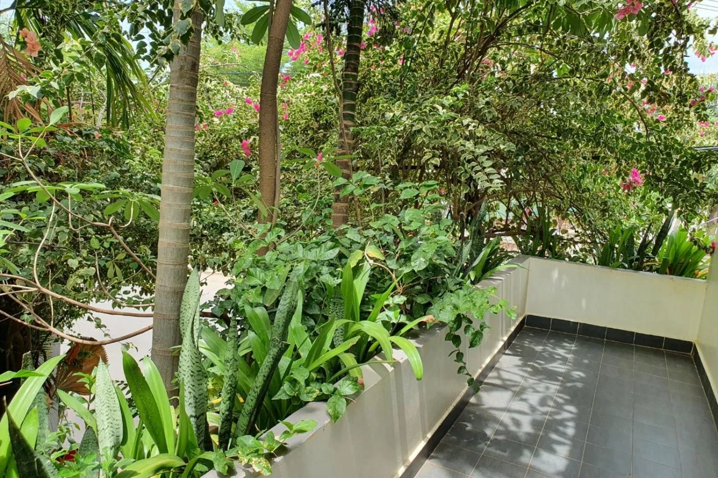 Garden view in Siem Reap Tevi Residence