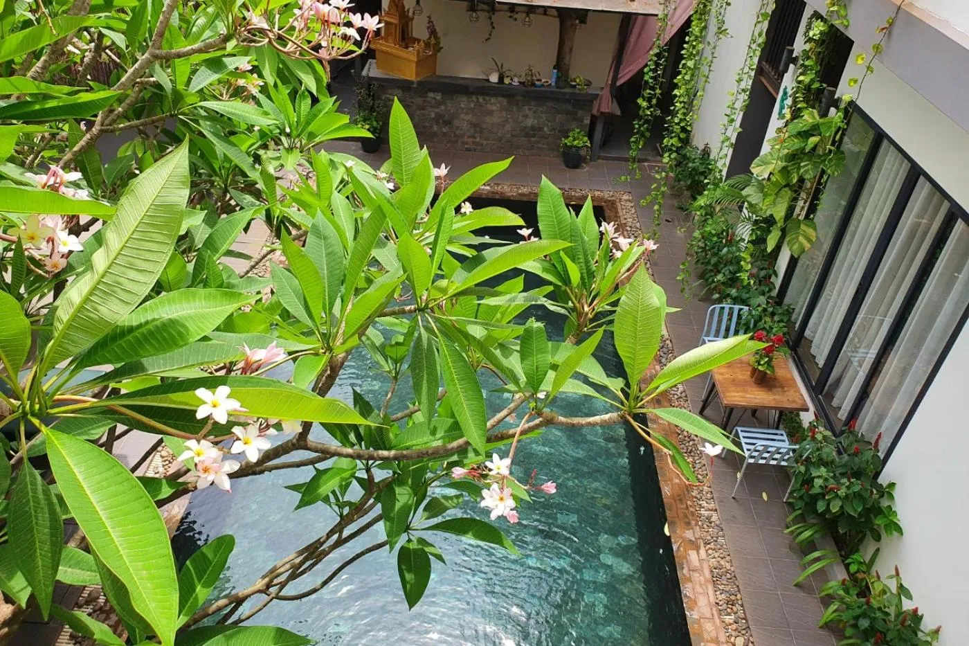 Garden in Siem Reap Tevi Residence