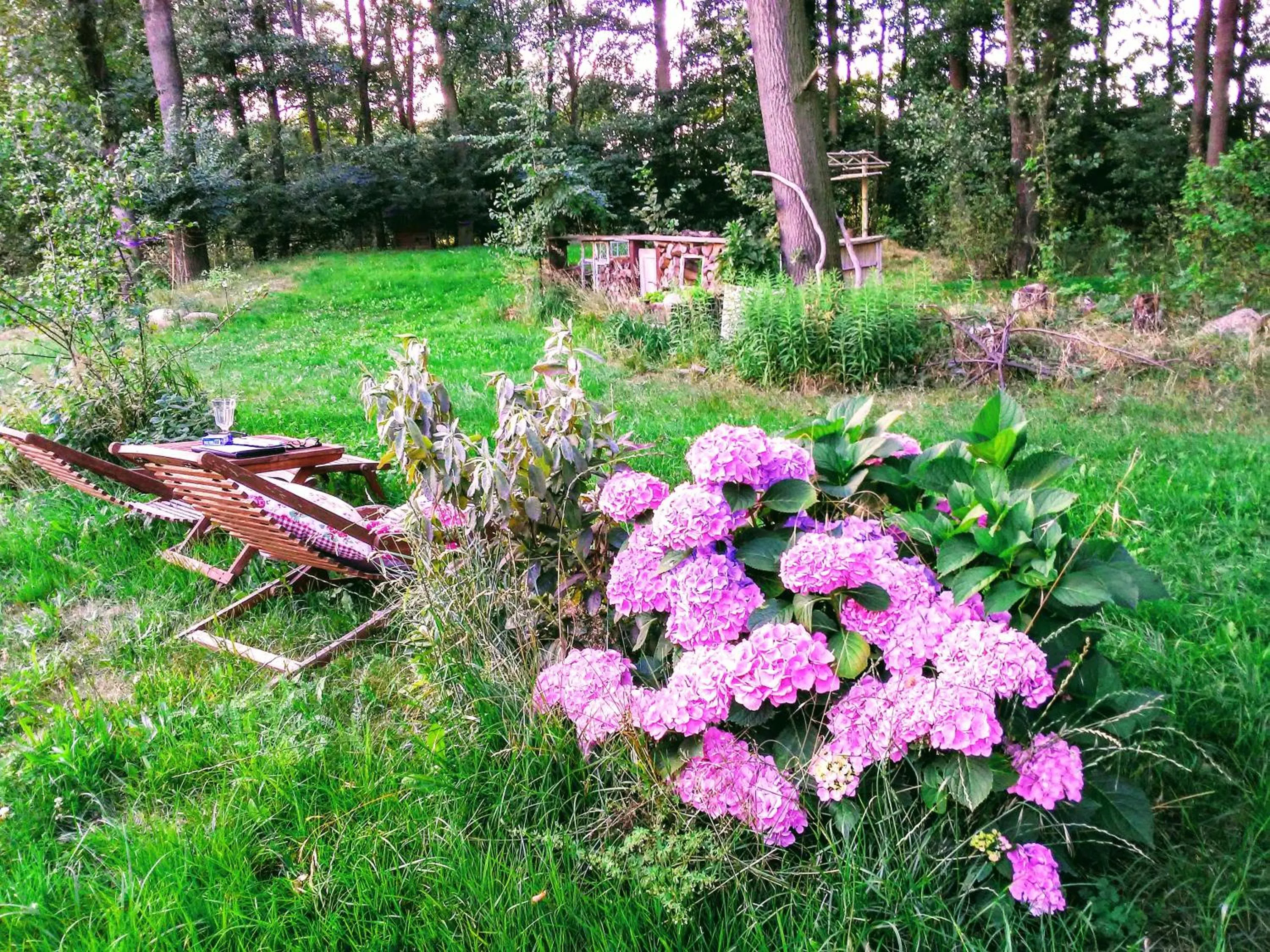 Ferienhof "Zum Spreewäldchen"