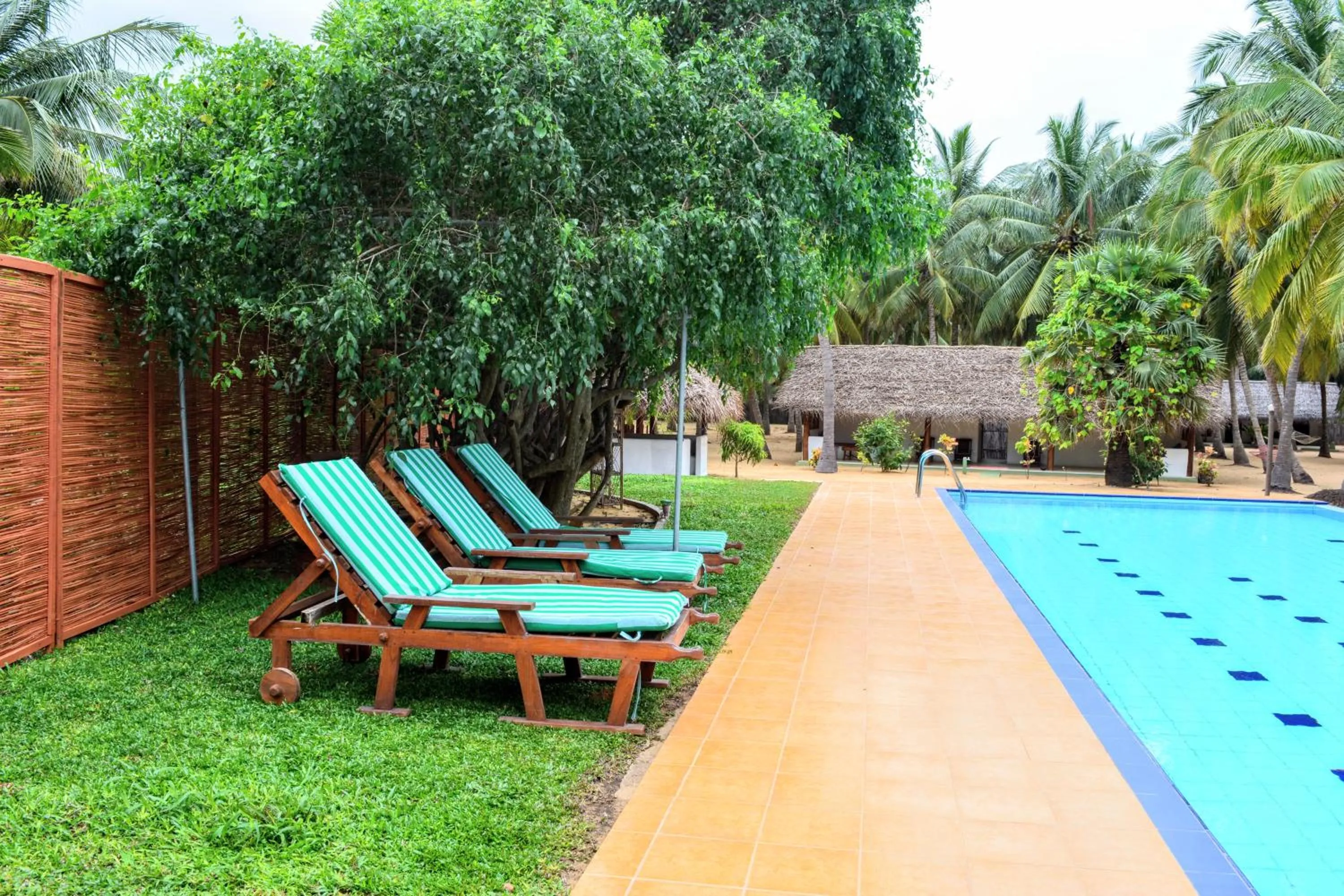 Activities in Roshanne Beach Resort, Kalpitiya