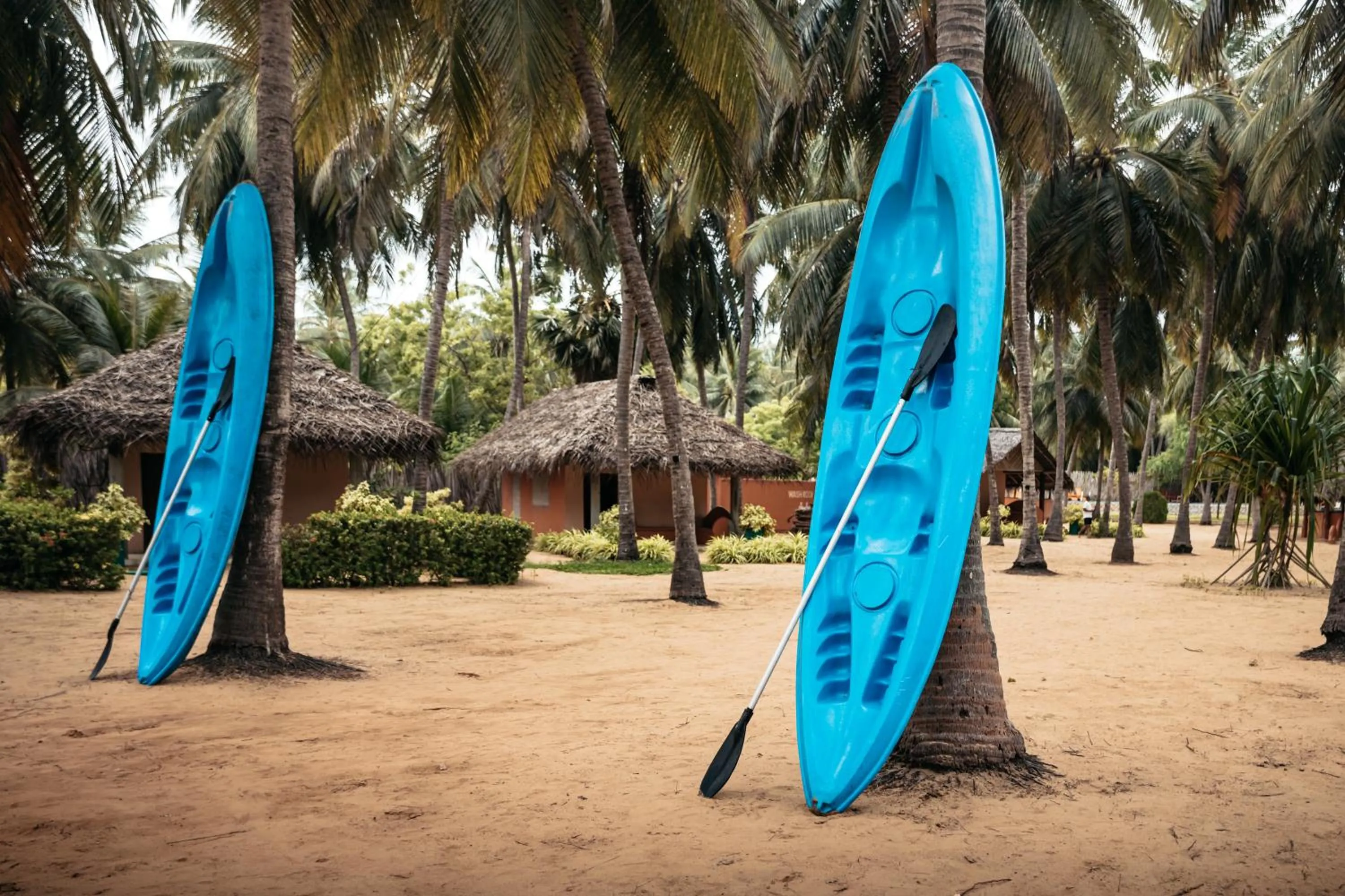 Activities in Roshanne Beach Resort, Kalpitiya