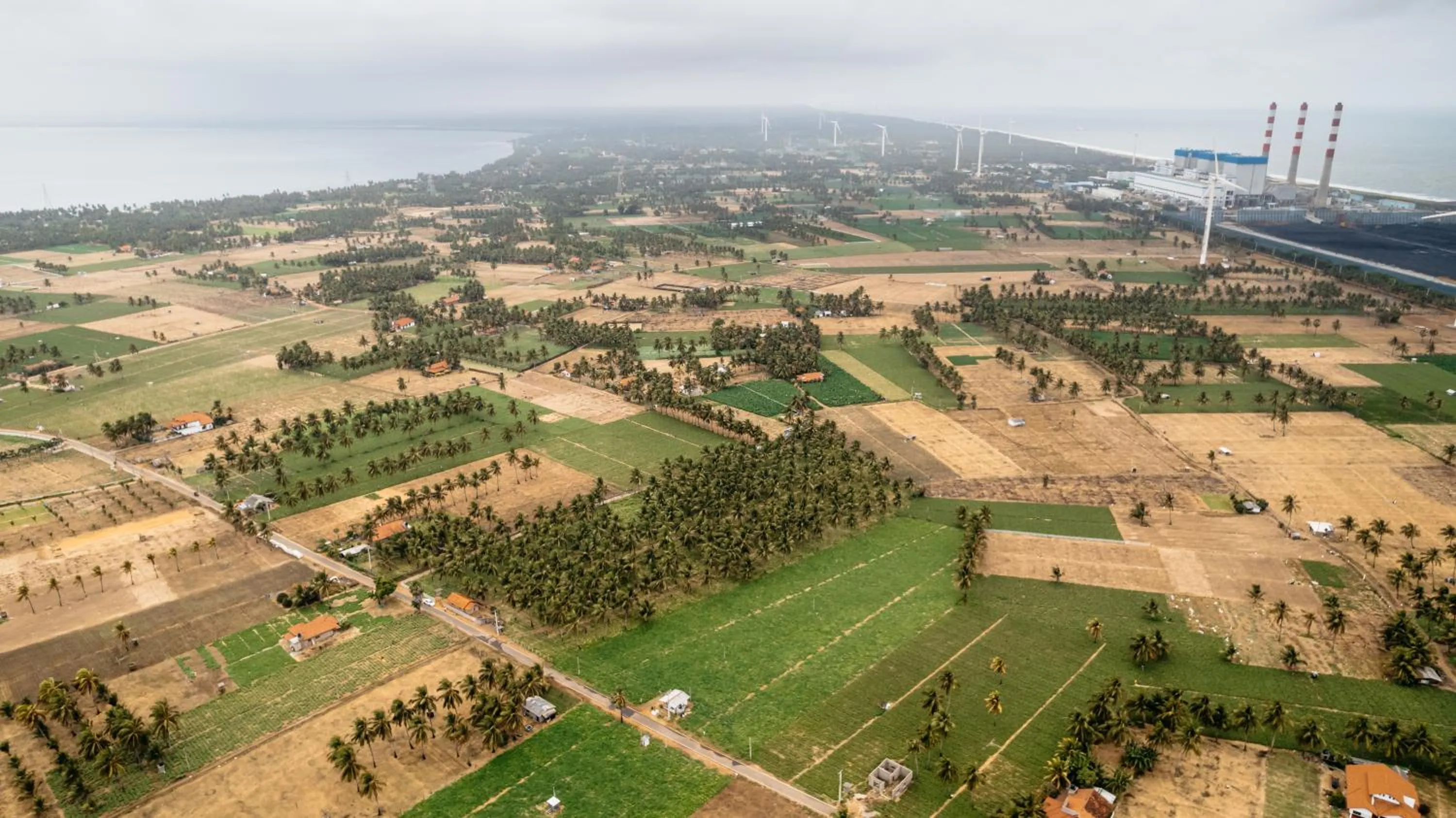 Beach in Roshanne Beach Resort, Kalpitiya