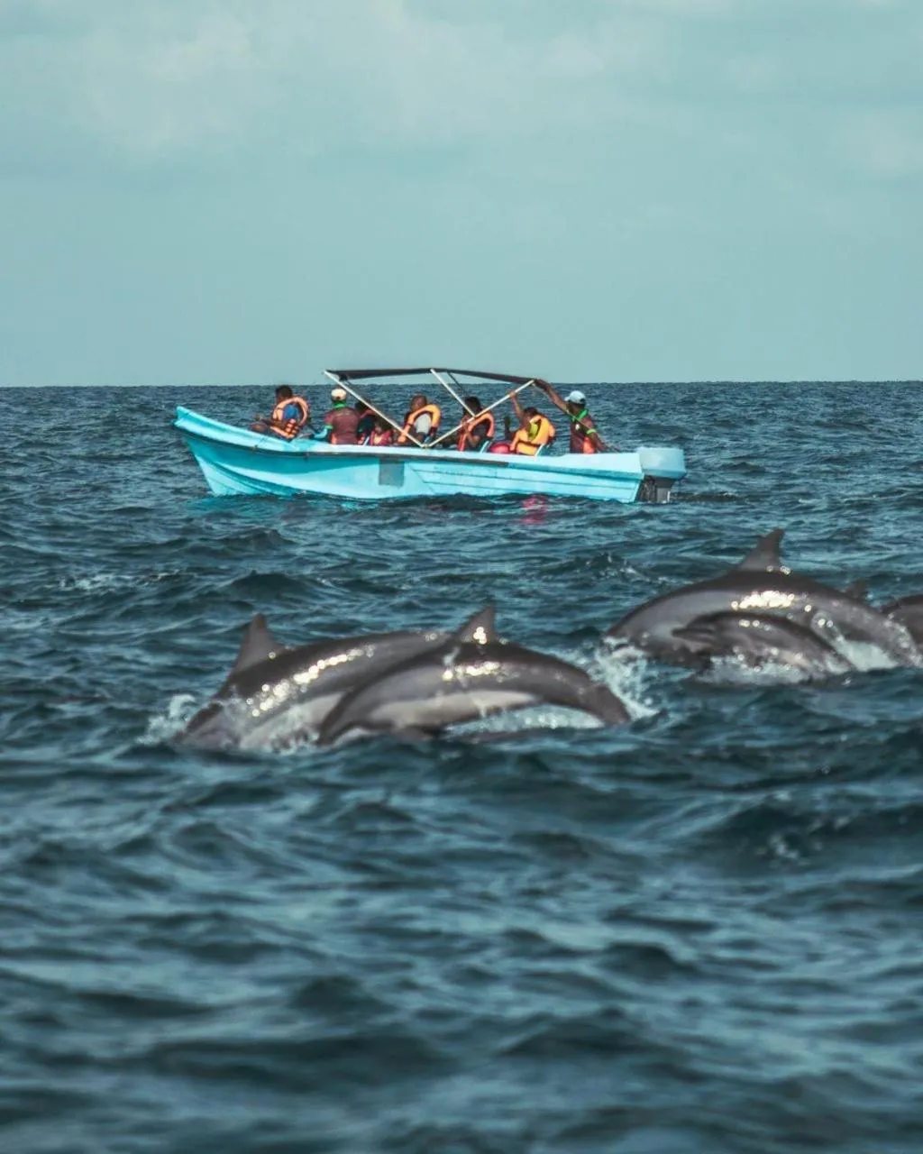 Activities in Roshanne Beach Resort, Kalpitiya