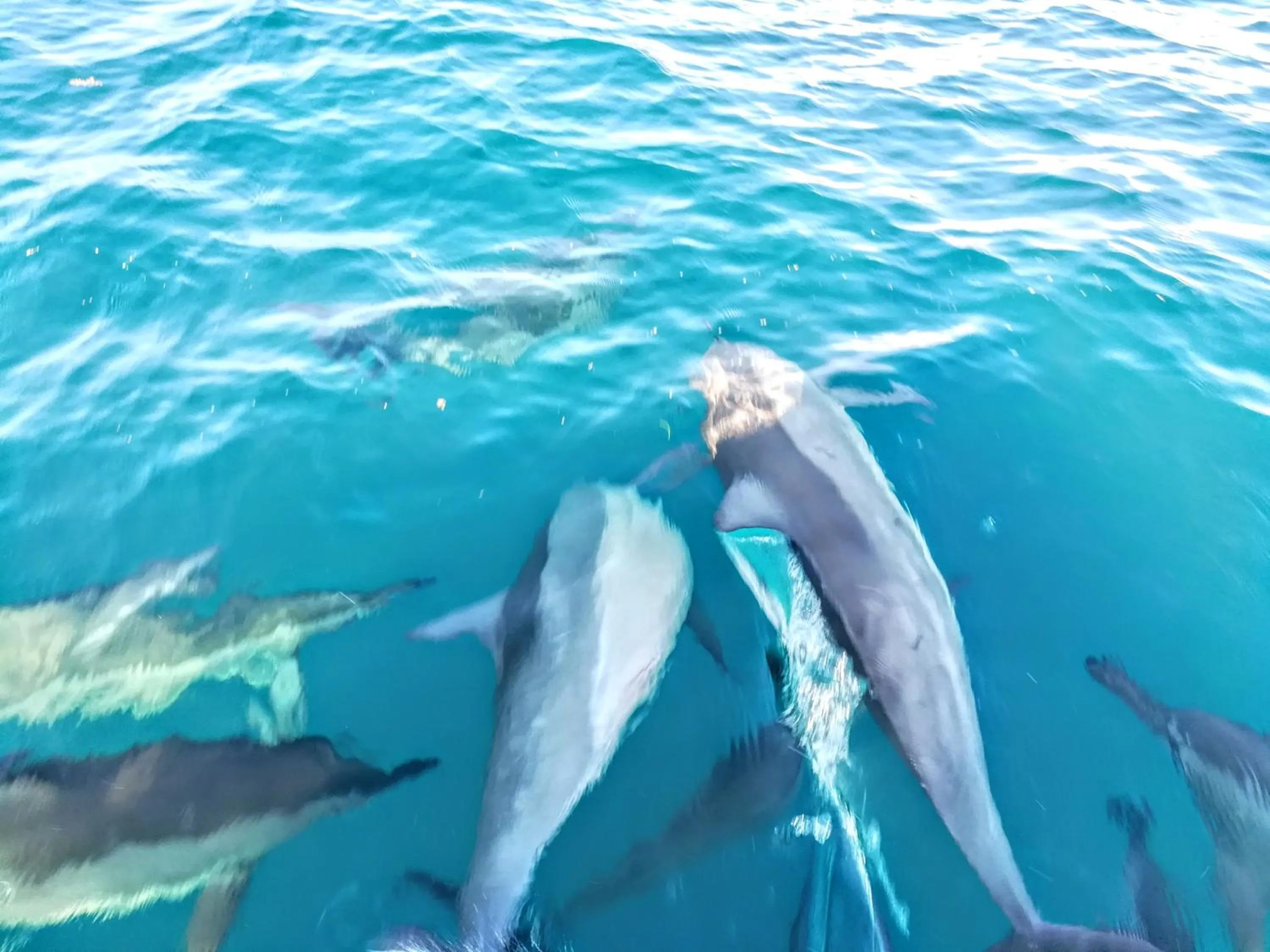 Activities in Roshanne Beach Resort, Kalpitiya