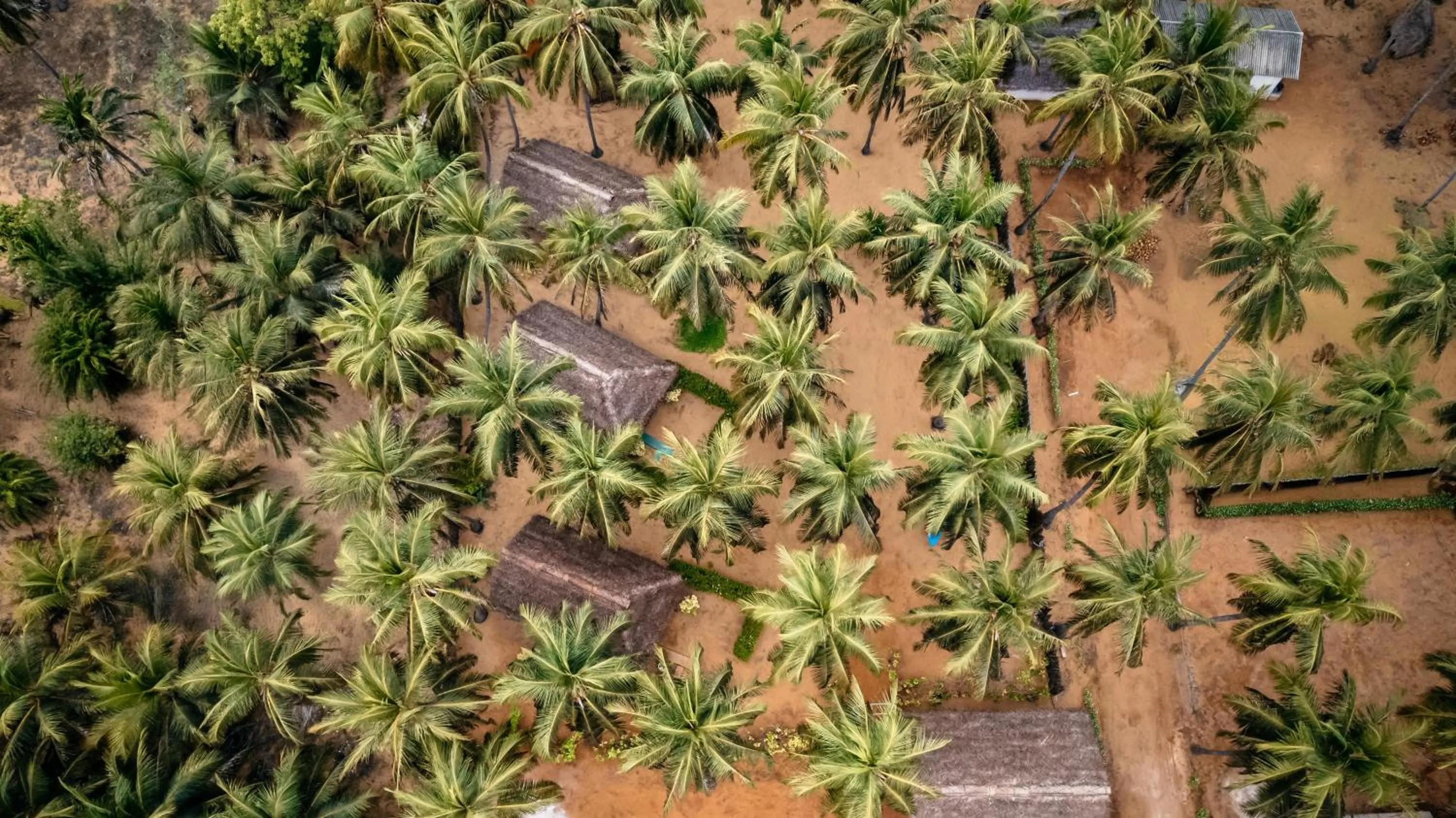 Property building in Roshanne Beach Resort, Kalpitiya