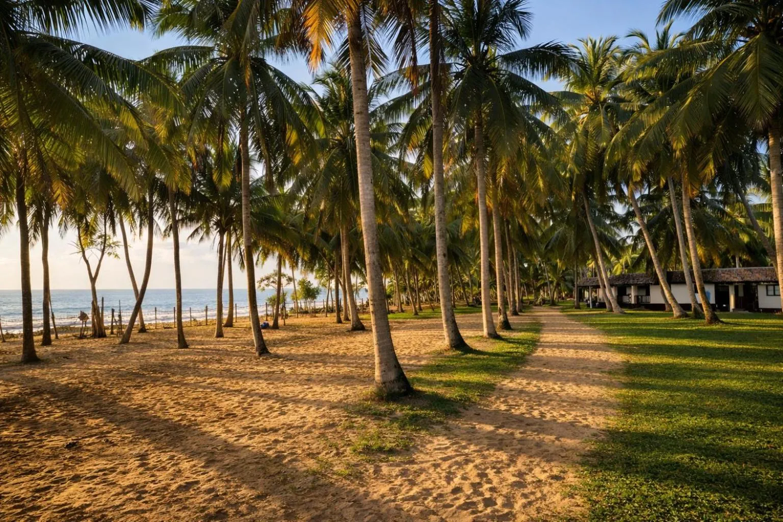 Garden in Helios Beach Resort