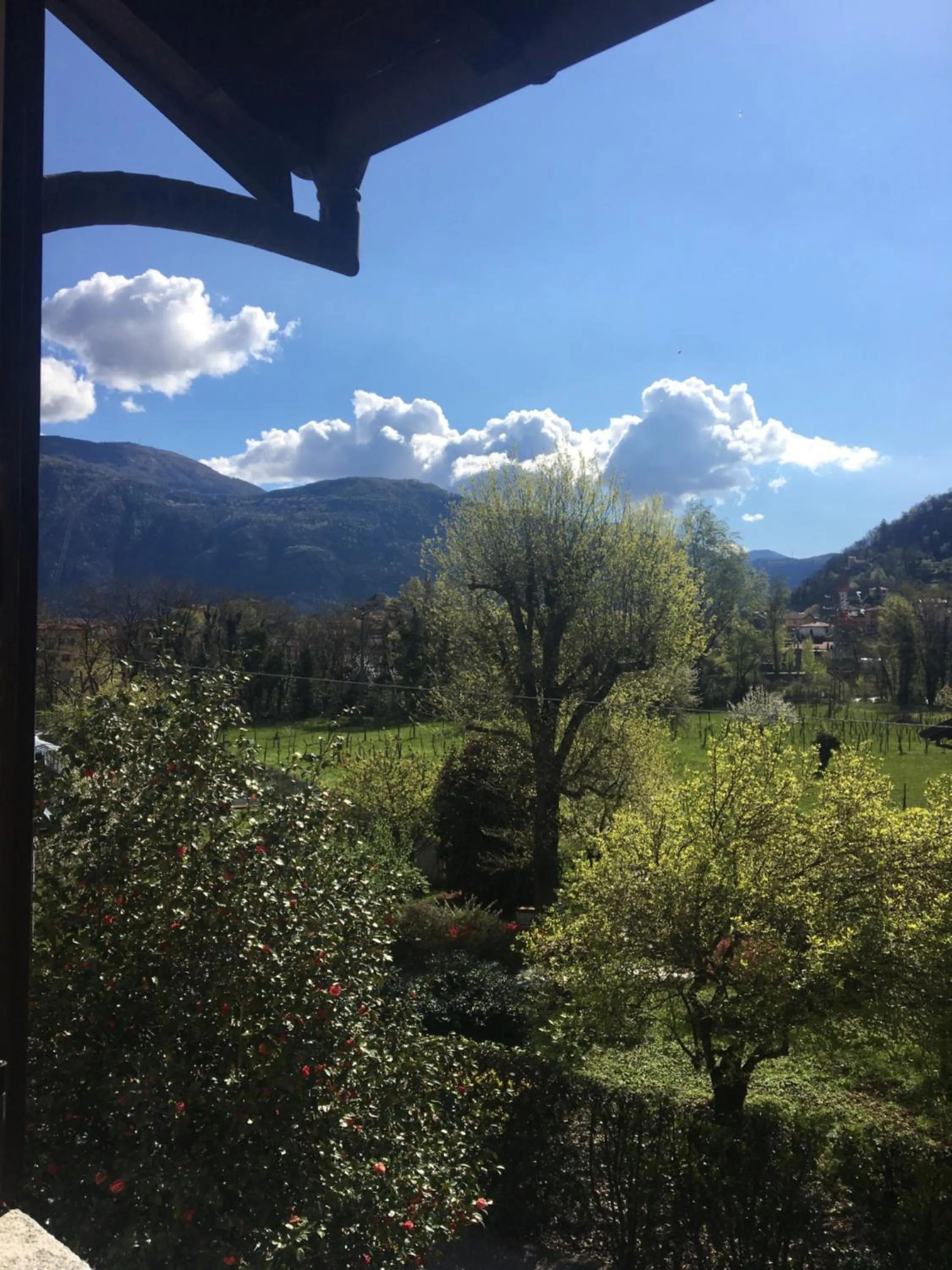 Mountain view in B&B Azalea