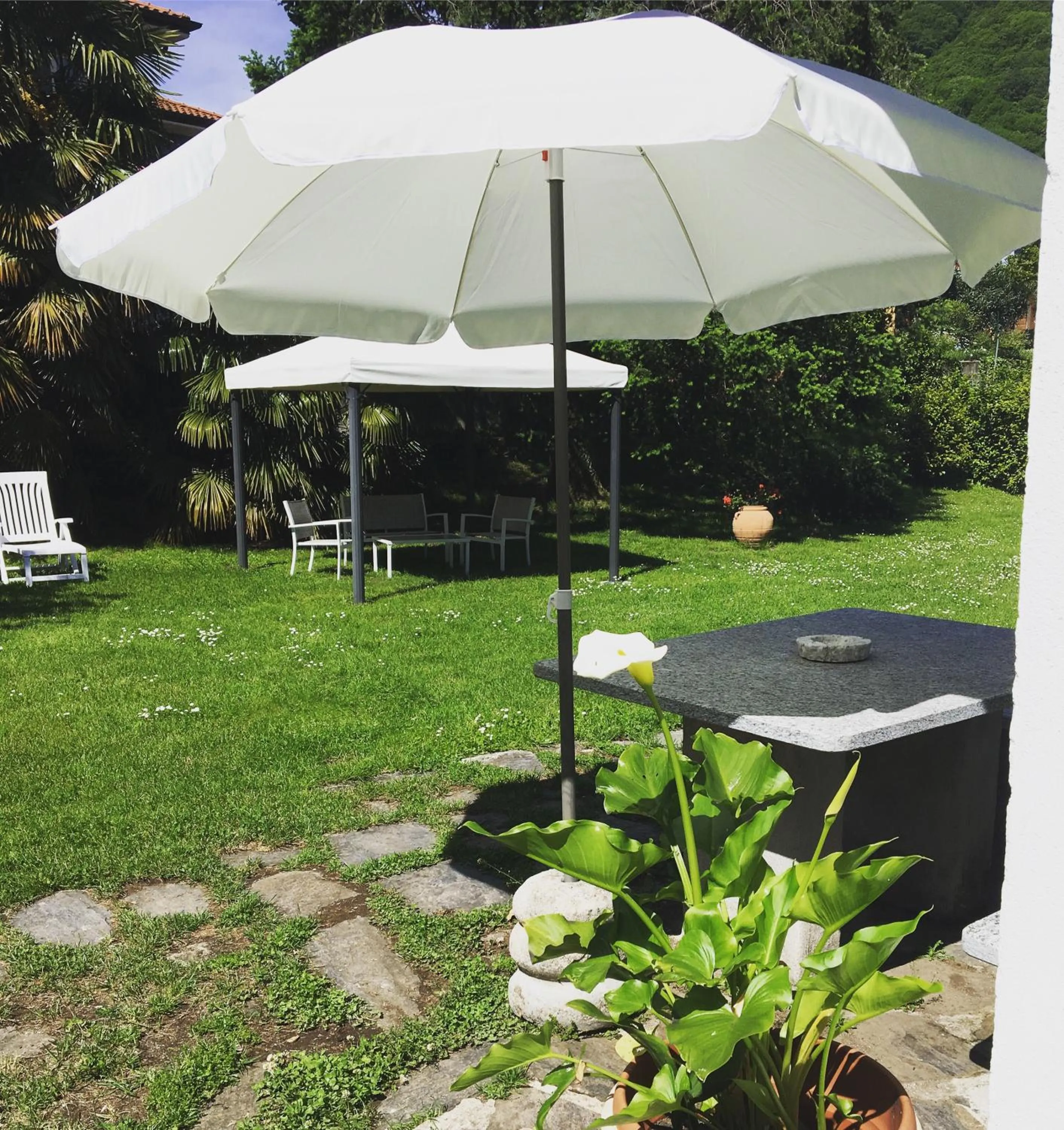 Garden in B&B Azalea