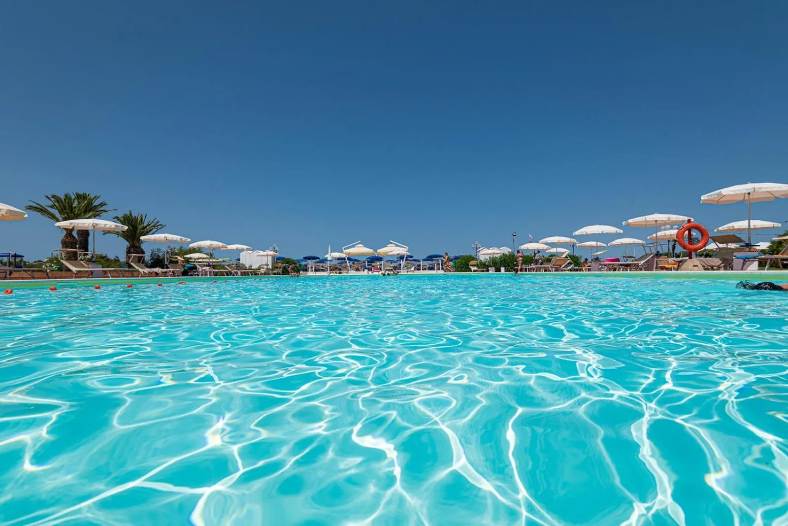 Swimming pool in Hotel Airone isola d'Elba