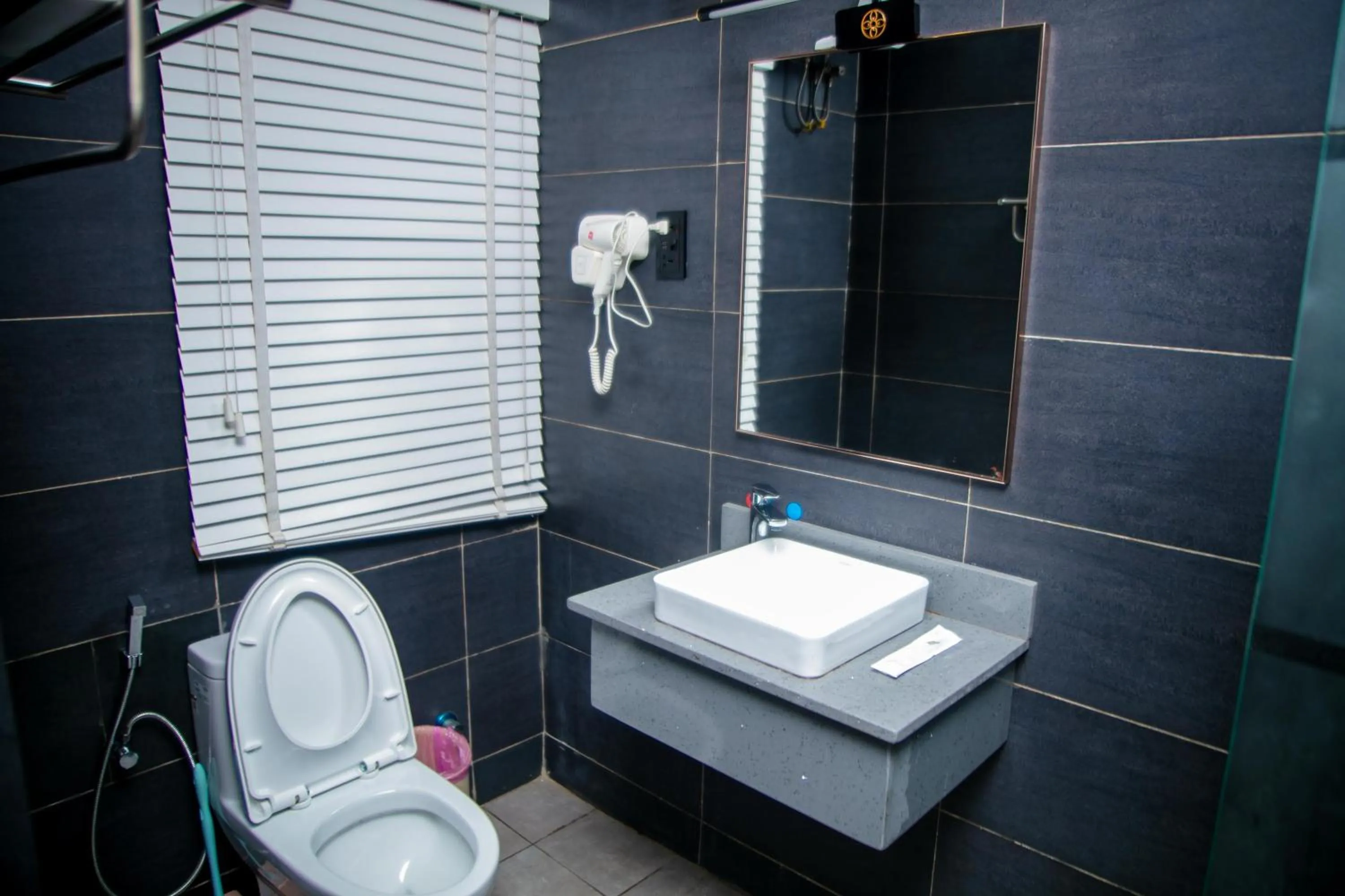 Toilet in Ivy Hotel Emerald