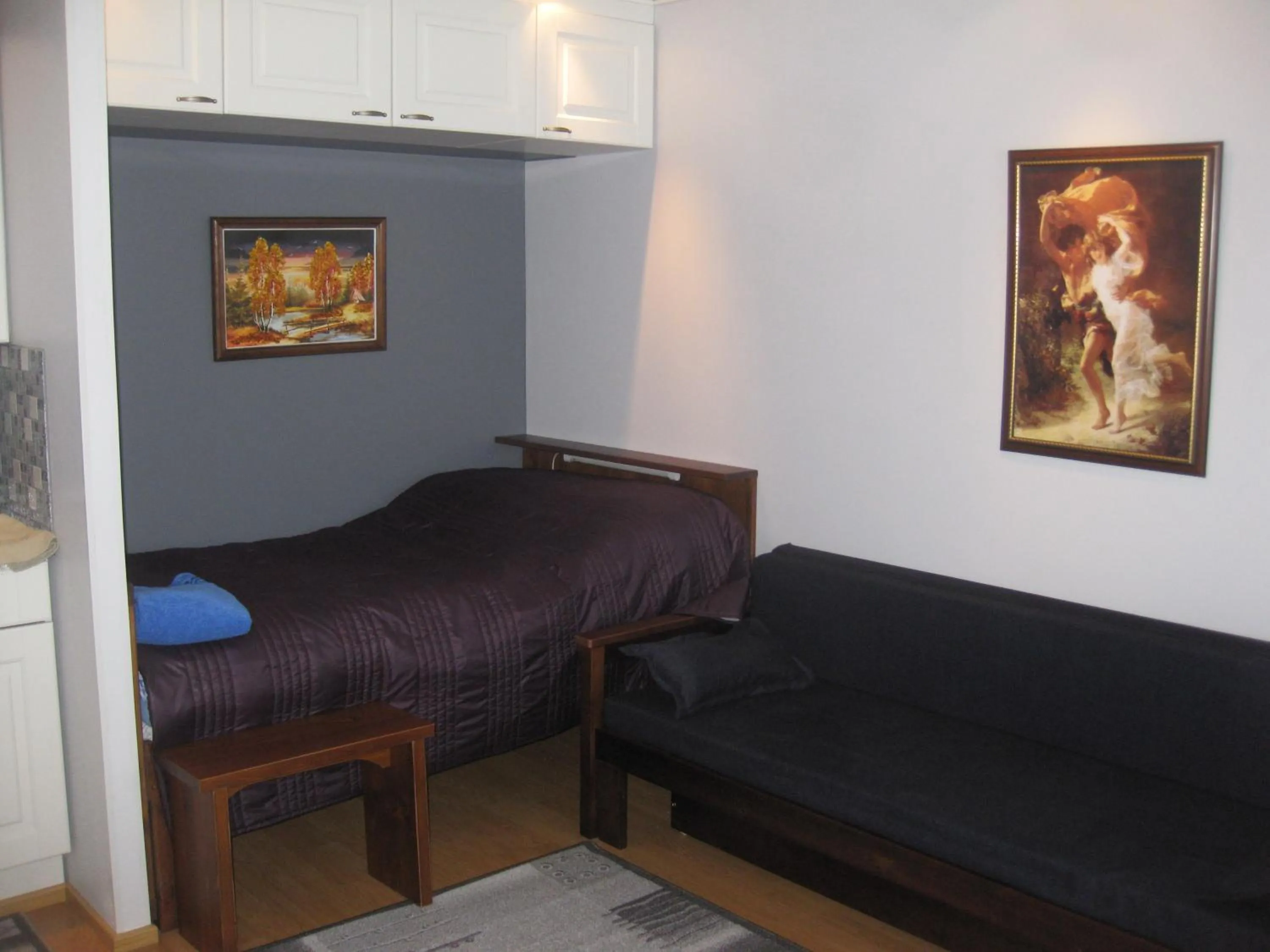 Standard Room with Kitchenette - single occupancy in Ämmän Hotelli