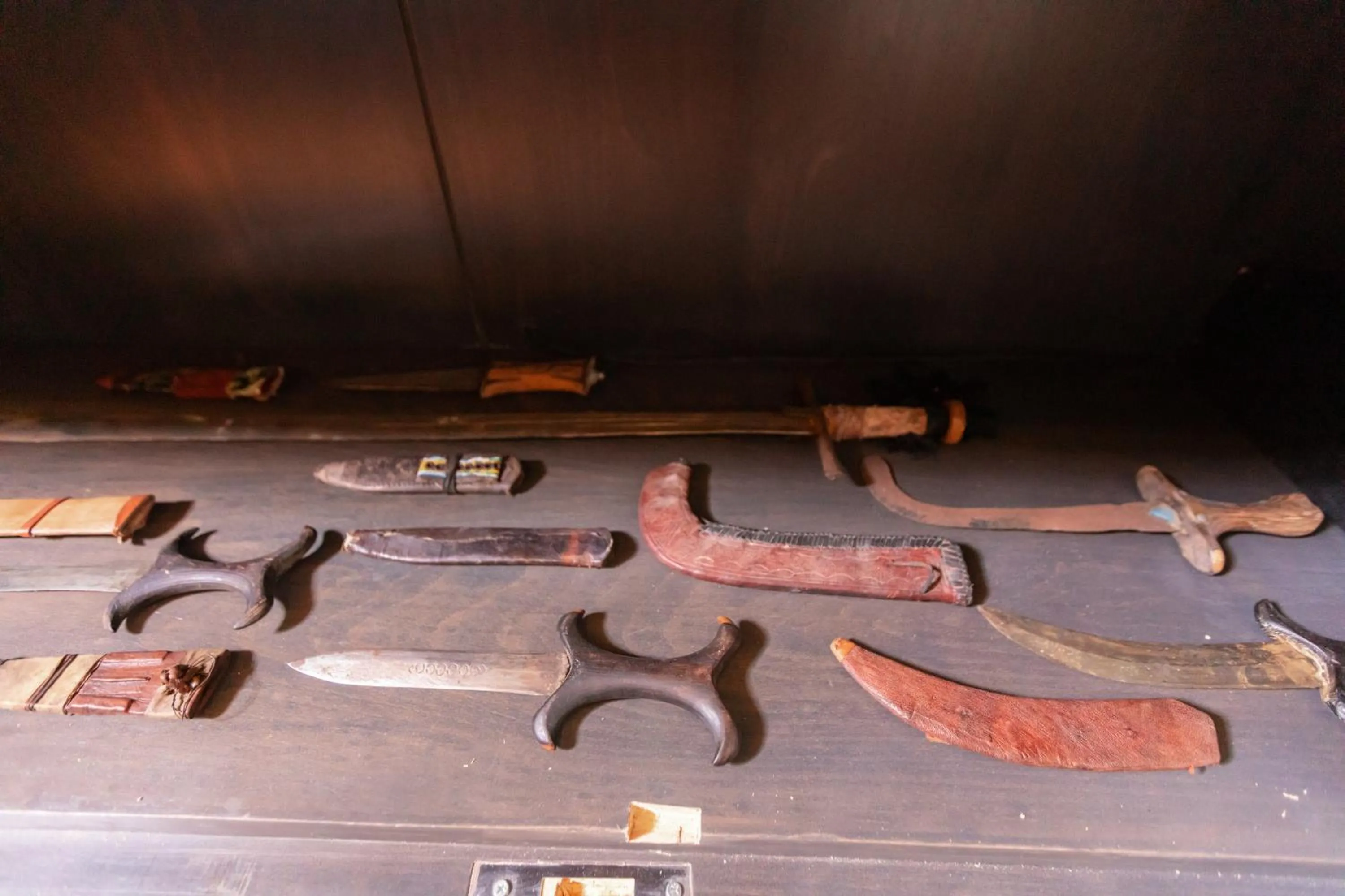 Library in Wadi Sabarah Lodge