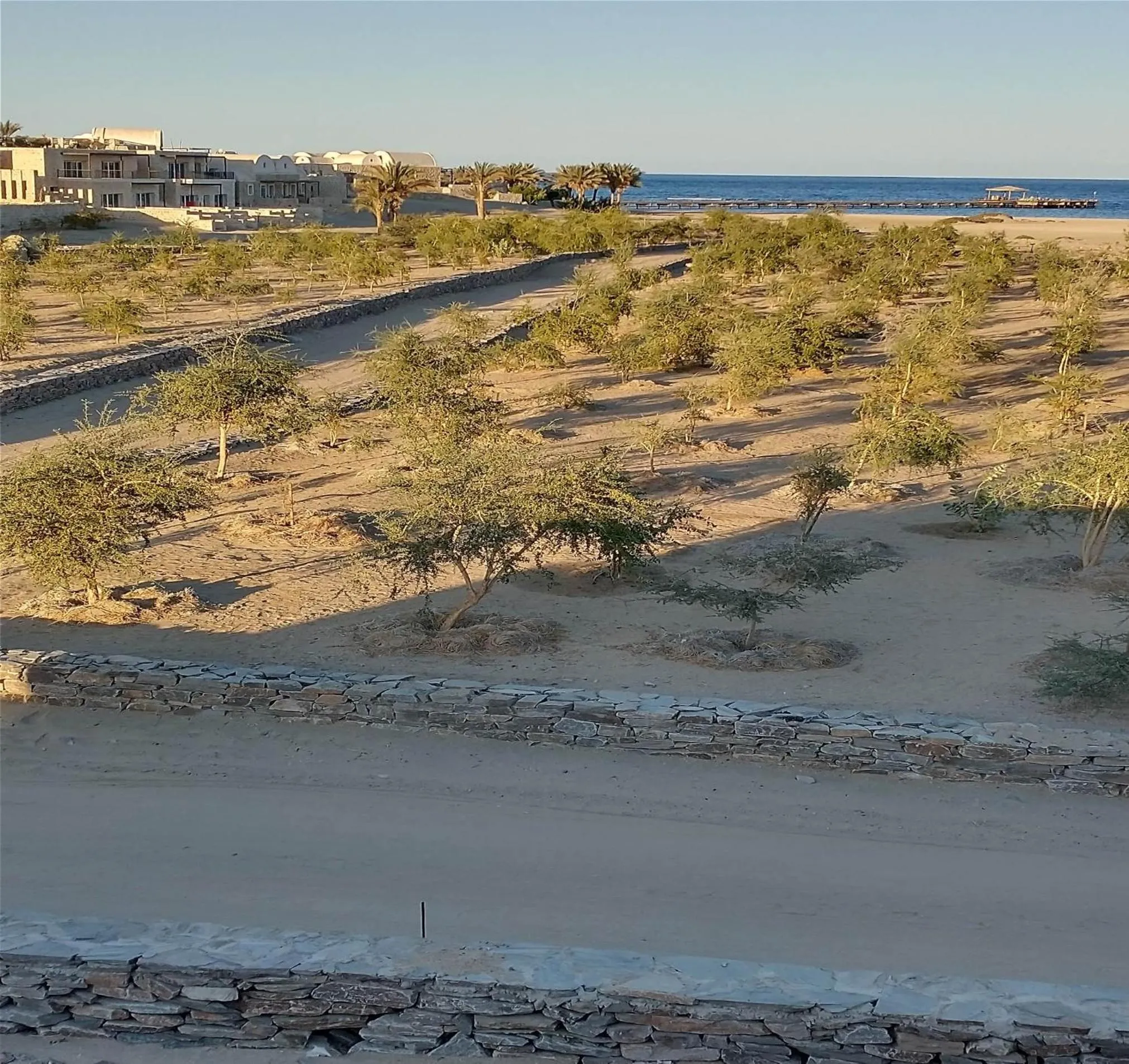 Garden in Wadi Sabarah Lodge