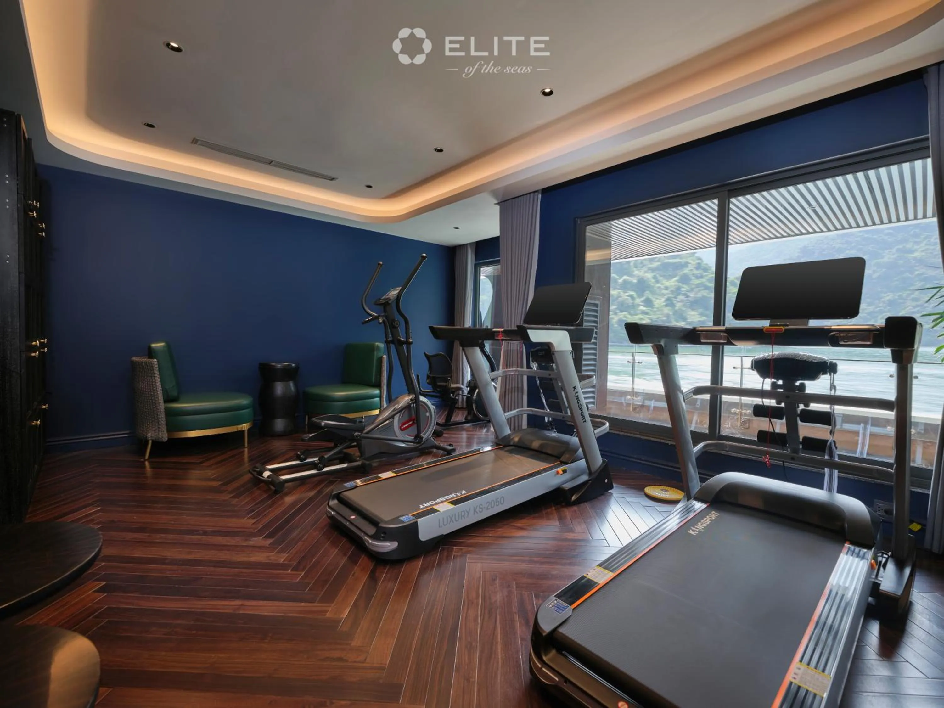 Fitness centre/facilities in Elite of the Seas