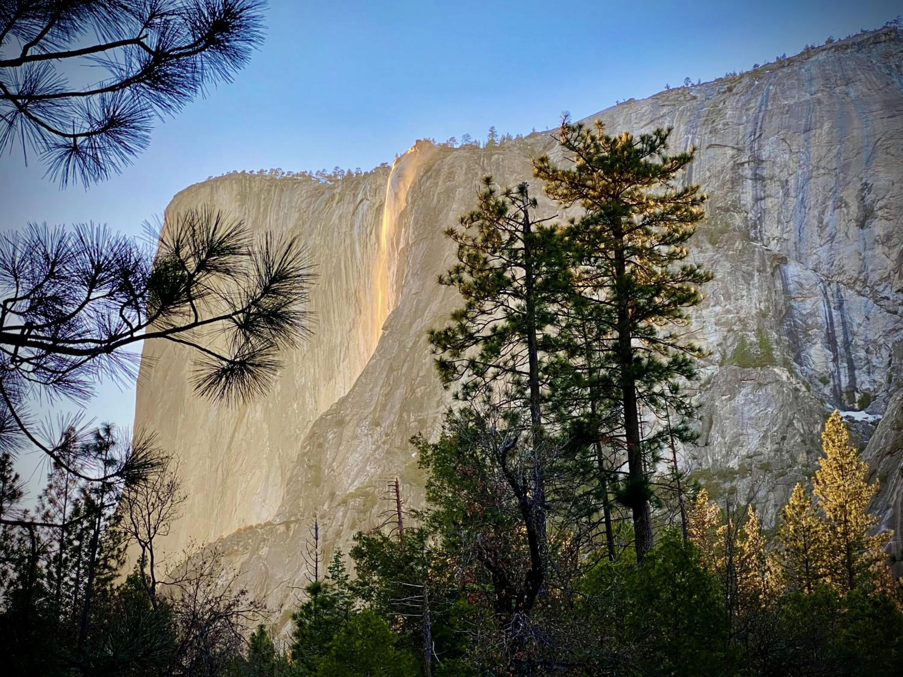 Nearby landmark in Scenic View Timber Lodge HotTub by Casa Oso