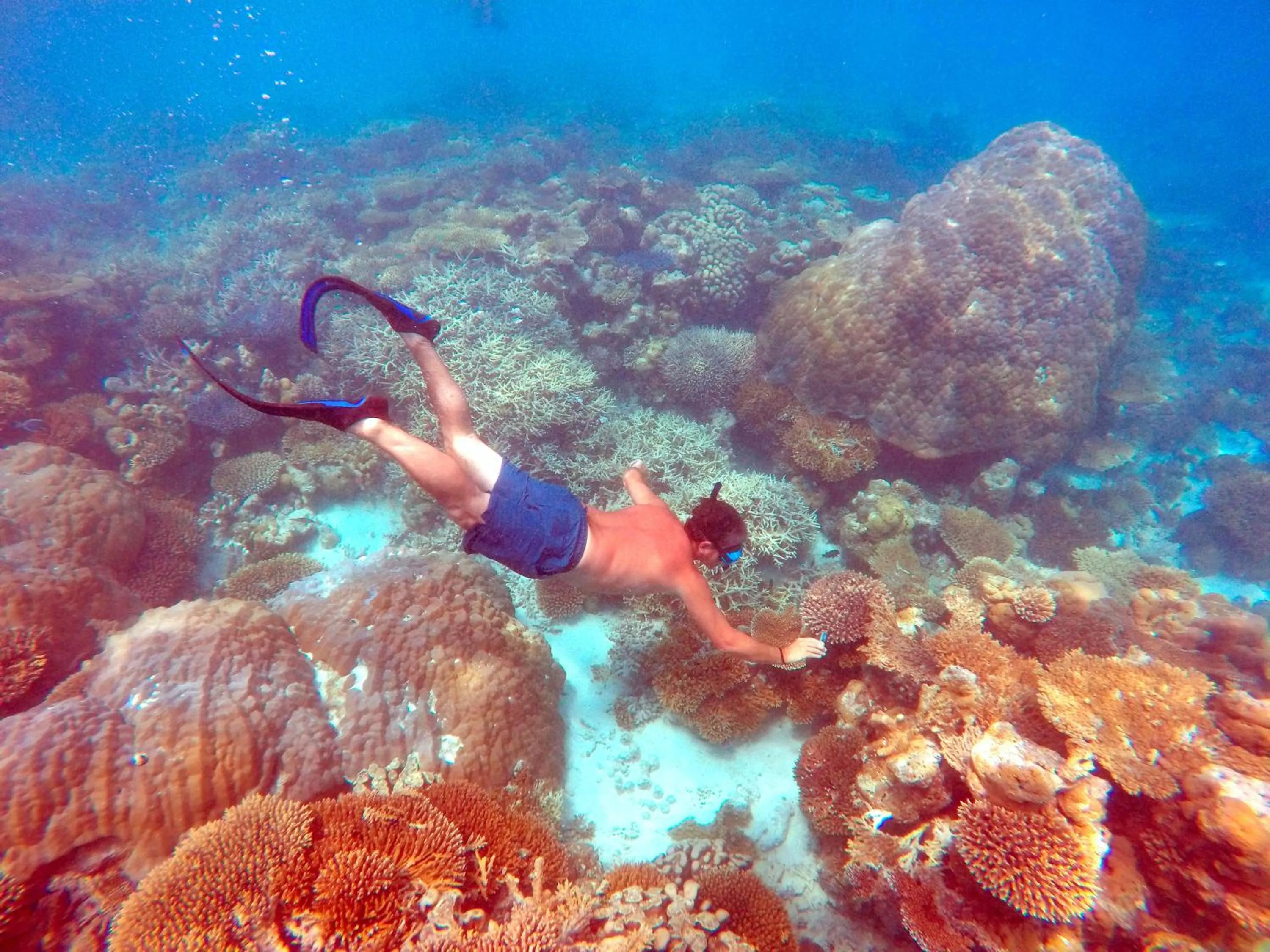 Snorkeling in Bibee Maldives