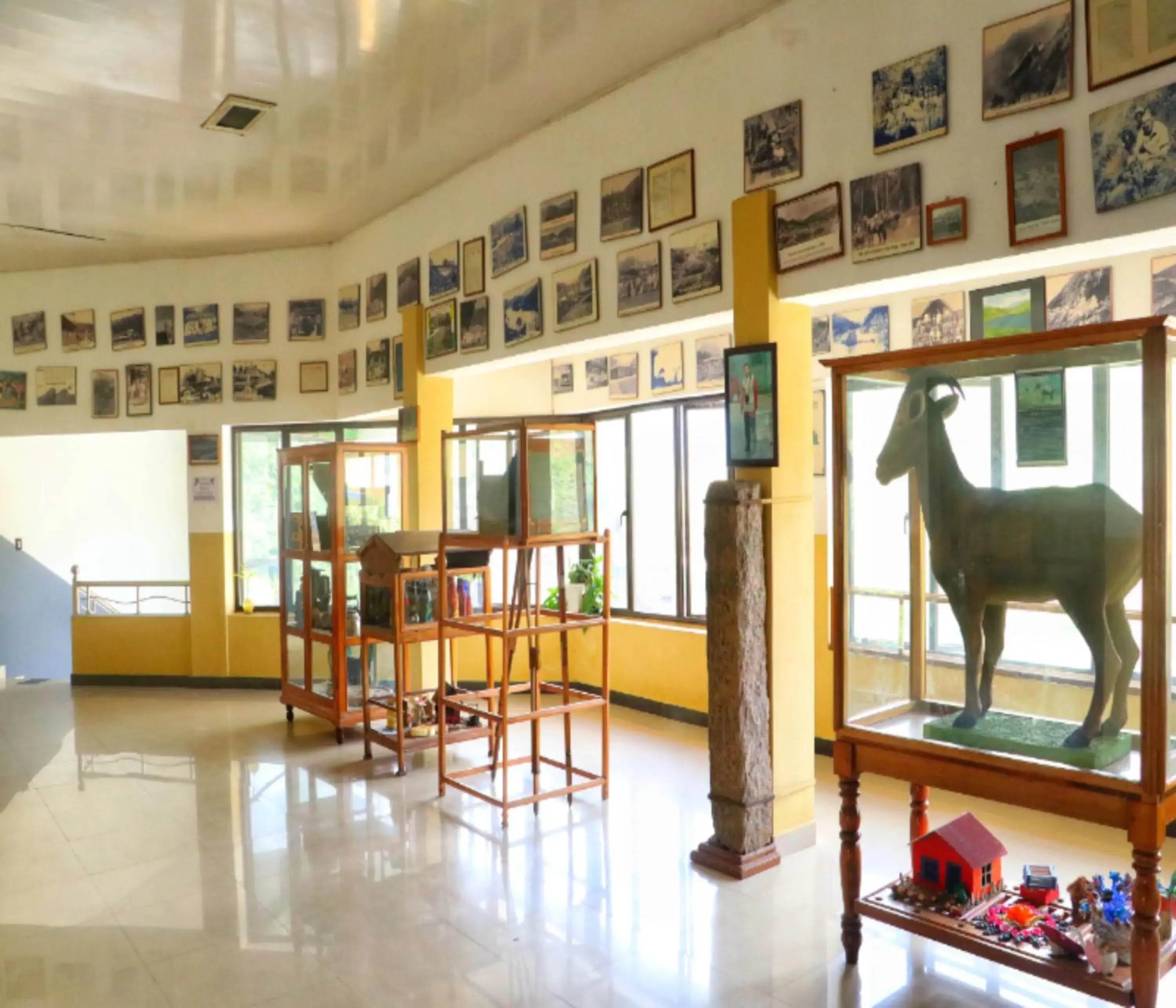 Property building in AC MIST Property building in AC MIST