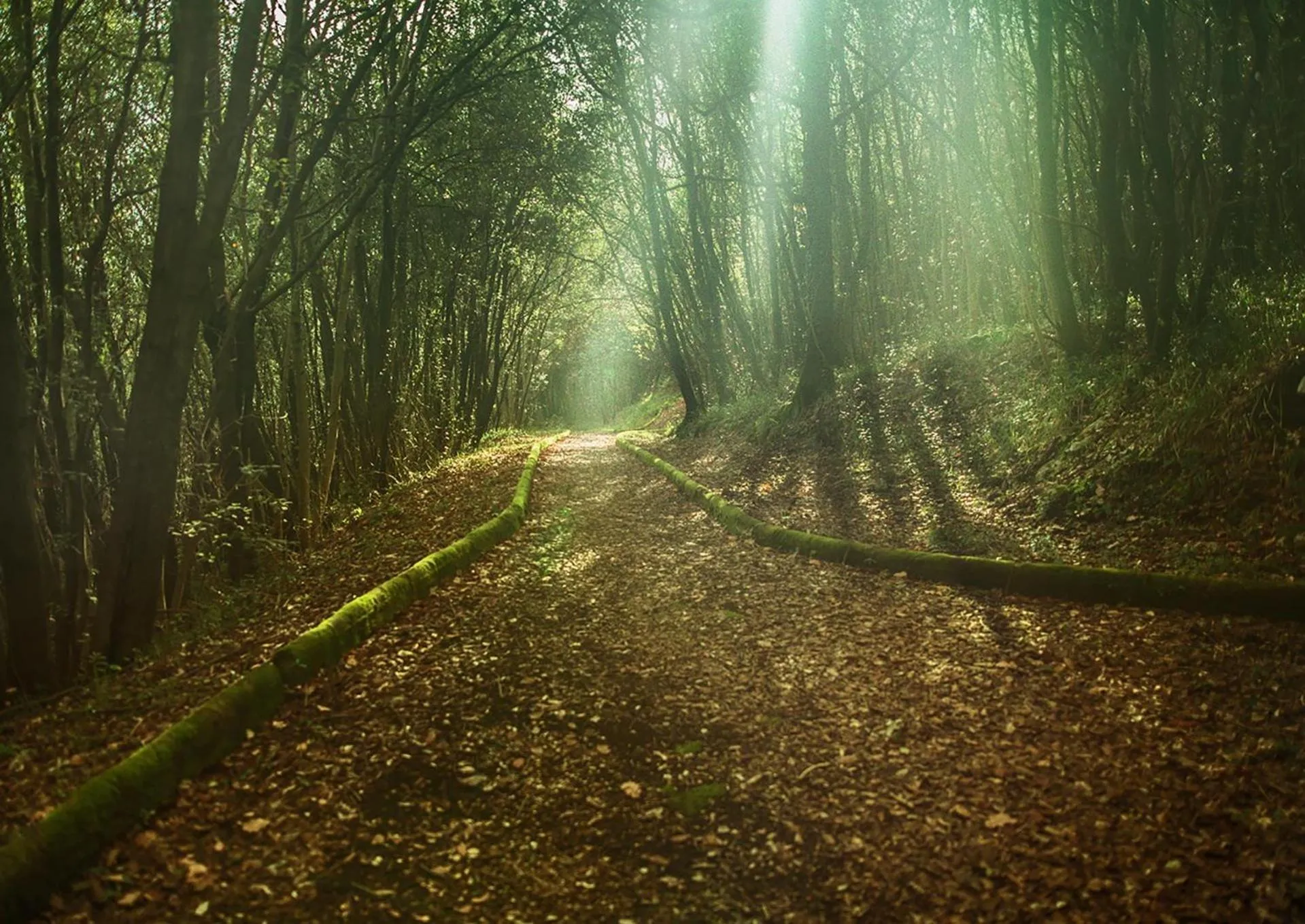 Natural landscape in Aquapetra Resort & Spa